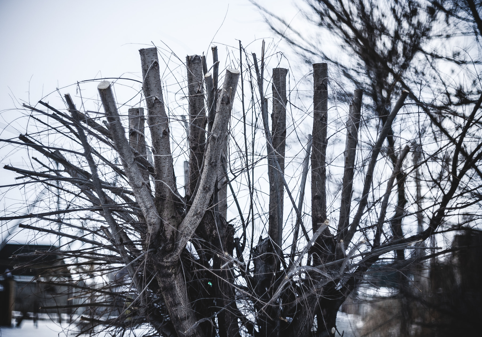 Canon EF 35-80mm f/4-5.6 sample photo. Img photography