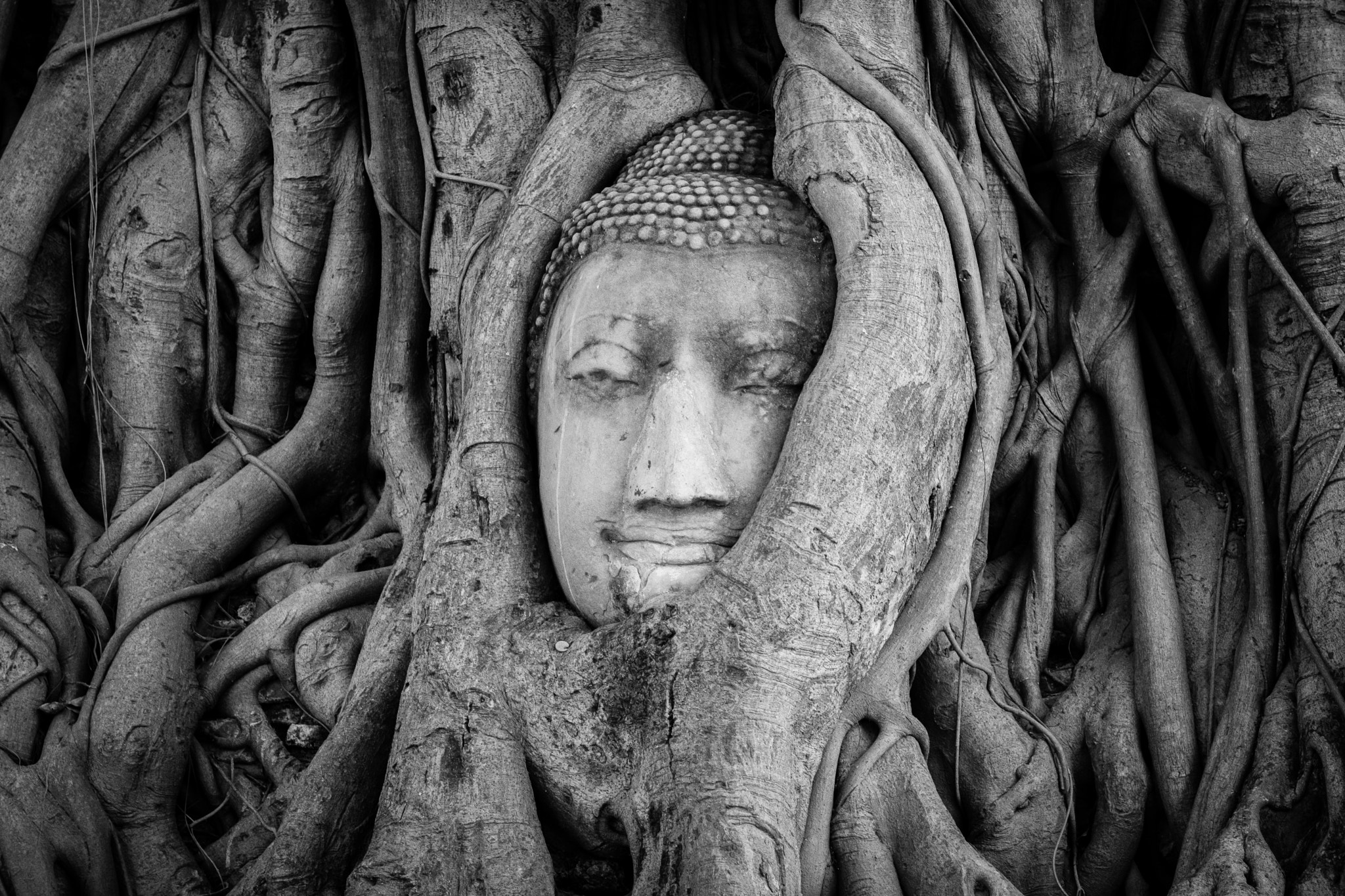 Fujifilm X-Pro2 + Fujifilm XF 16-55mm F2.8 R LM WR sample photo. Ayutthaya2 photography