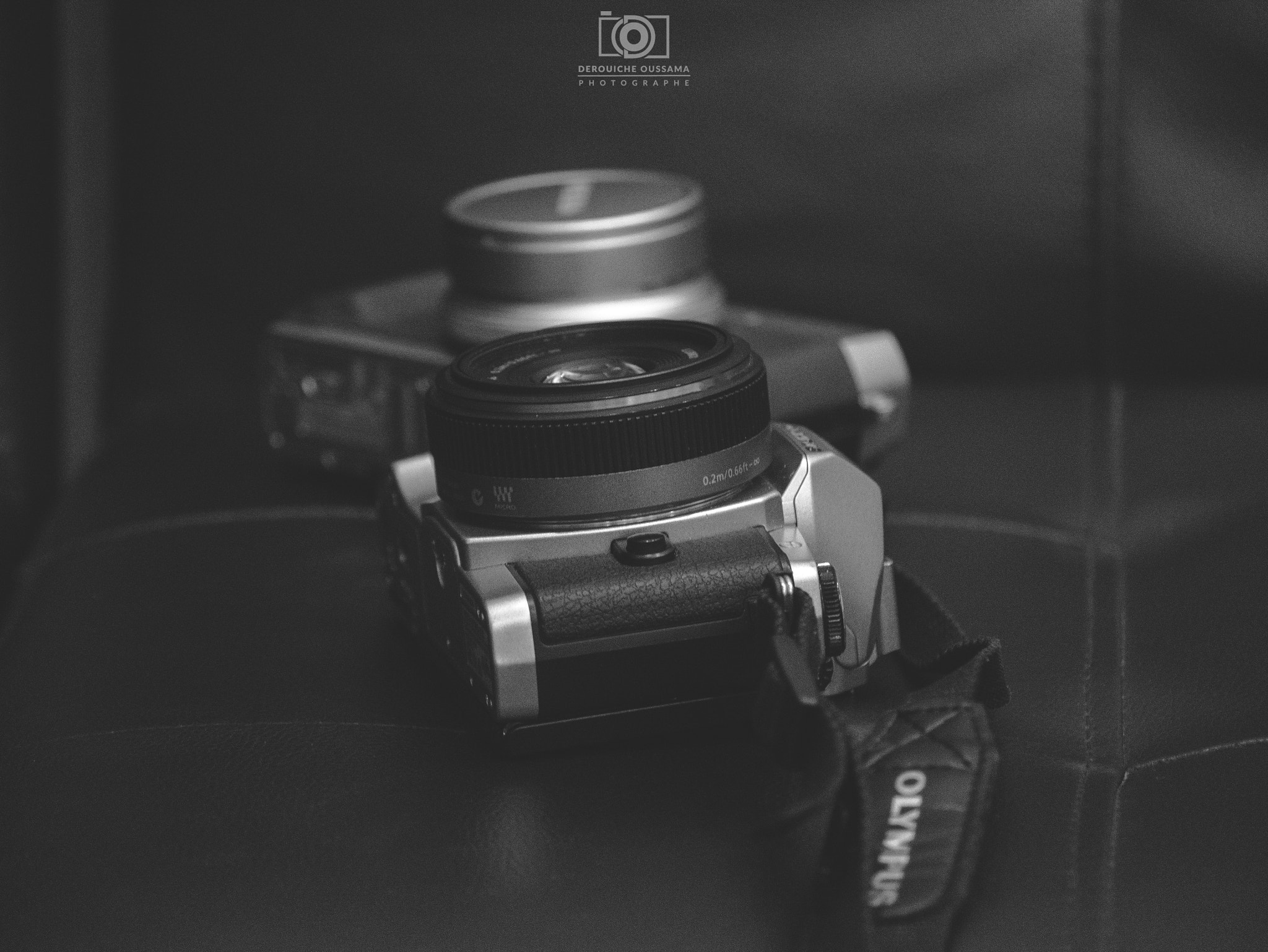 Panasonic Lumix DMC-GX7 sample photo. Yes this is olympus <3 ♥ photography