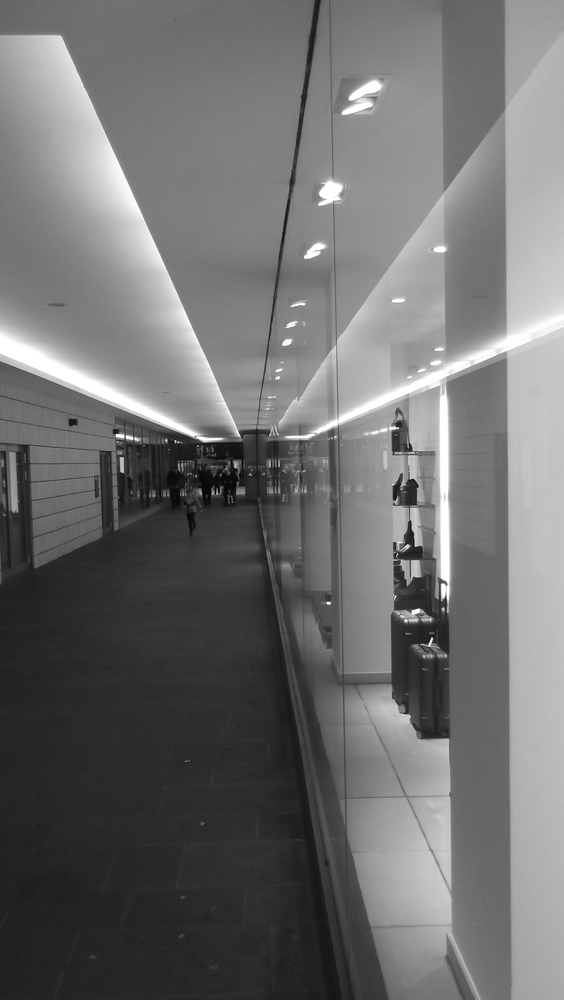 Fujifilm FinePix T350 sample photo. Reflections photography