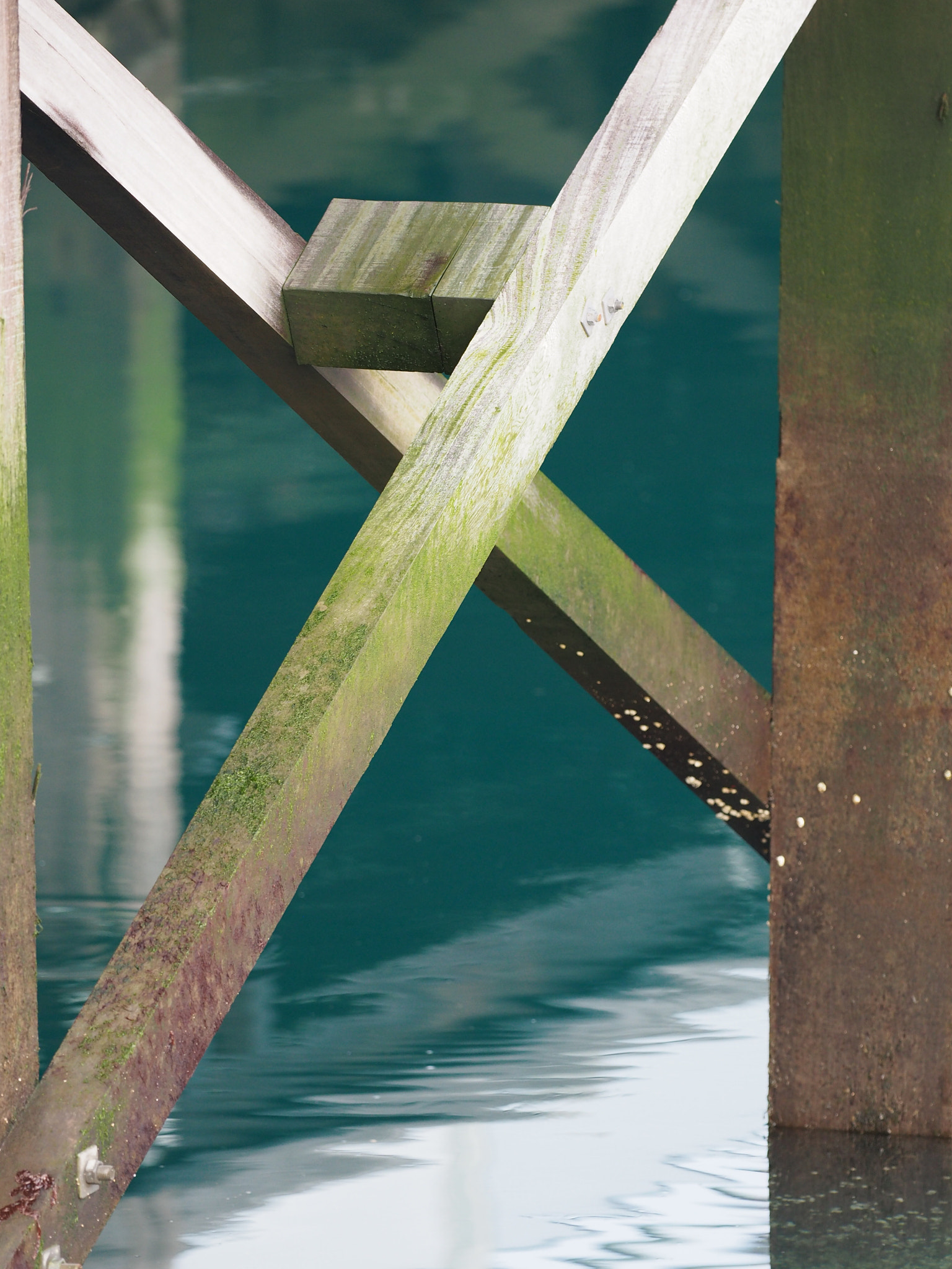 Olympus OM-D E-M5 II + OLYMPUS M.300mm F4.0 sample photo. Wood photography