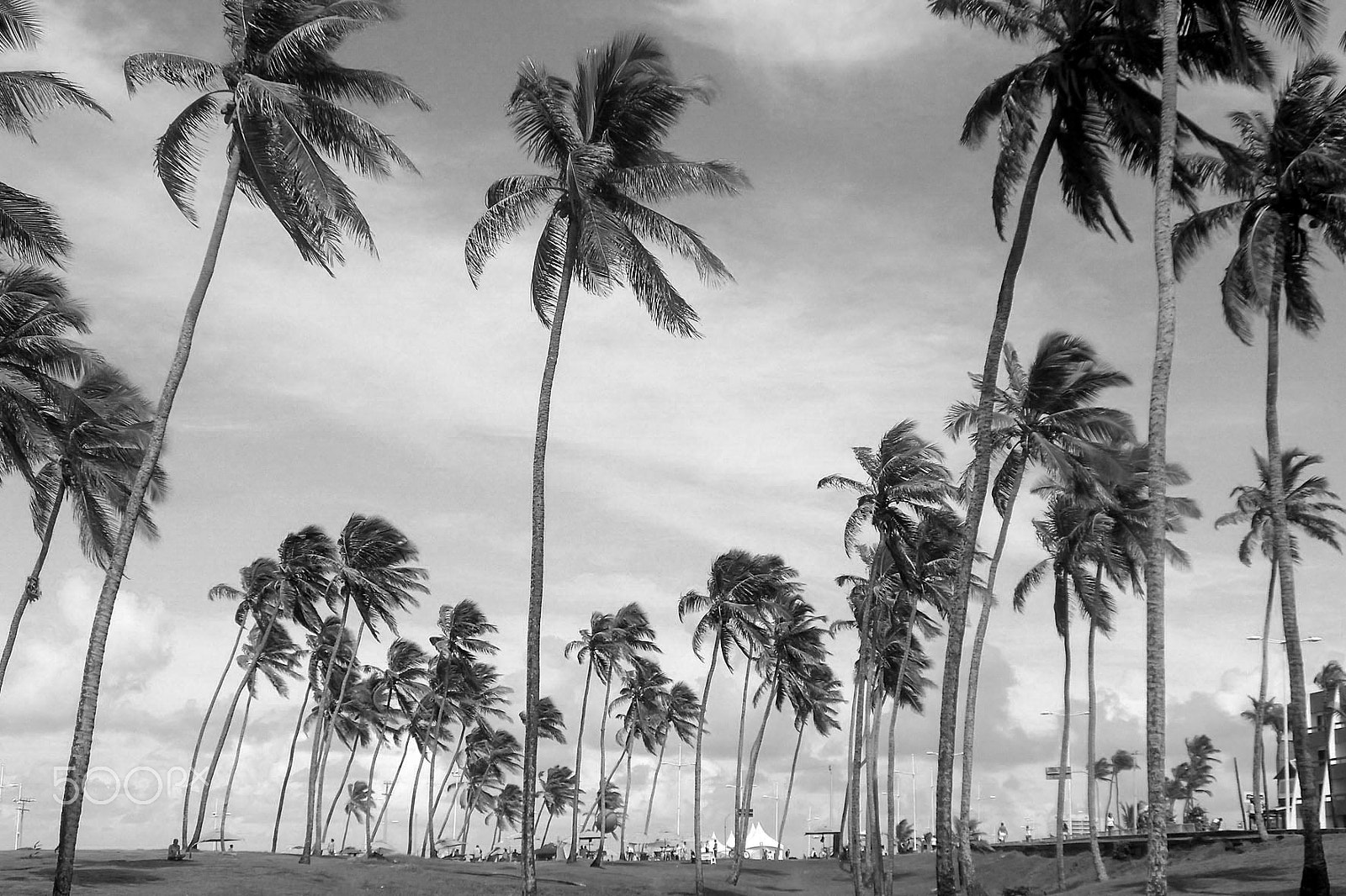 Samsung PL210, PL211 / VLUU PL210, PL211 sample photo. Salvador - bahia - brasil photography