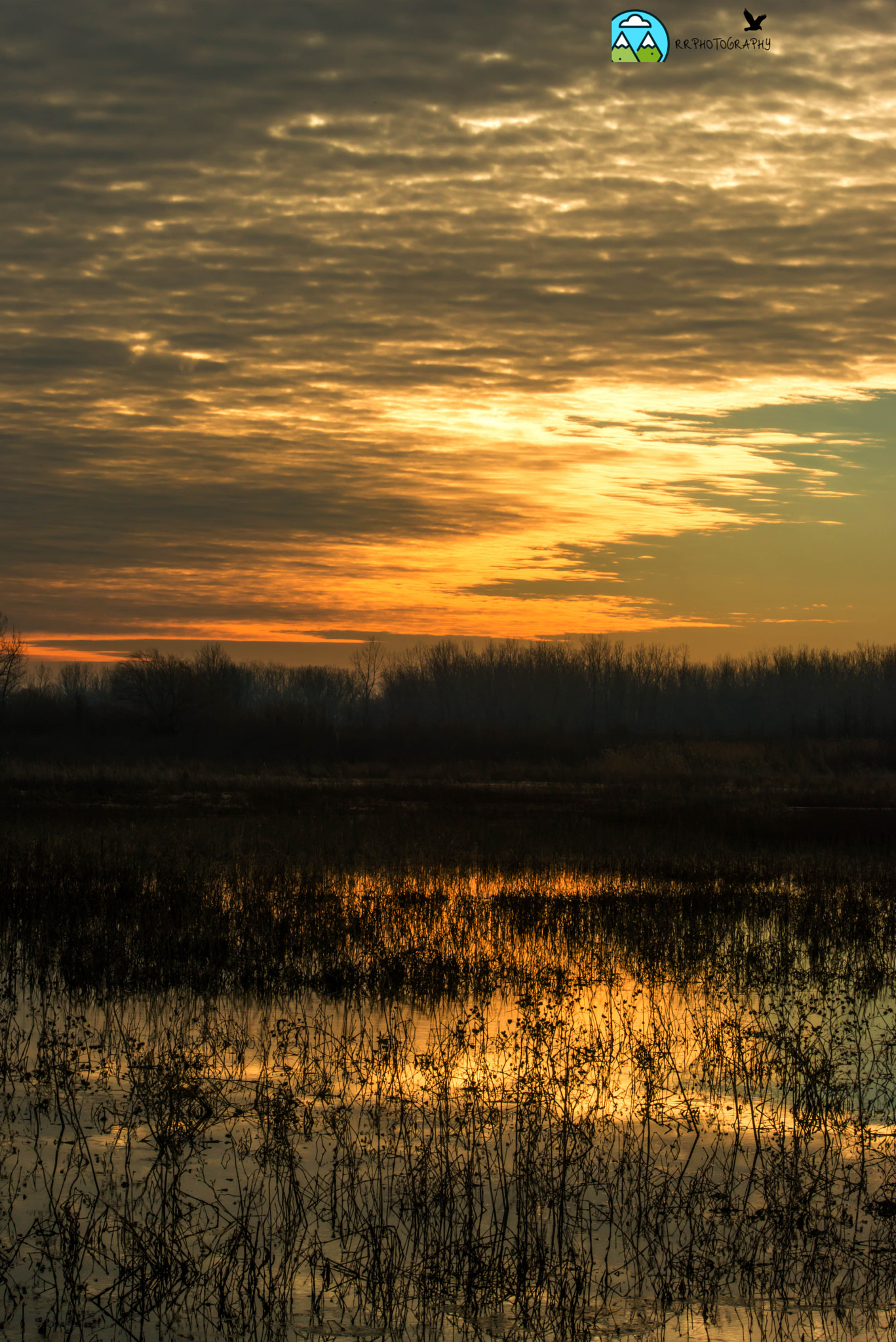 Nikon D800E sample photo. Ottawa_wildlife_refuge_21817 photography