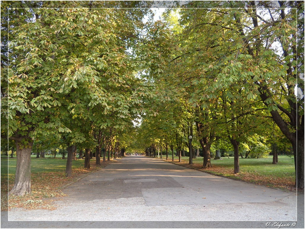 Nikon Coolpix S710 sample photo. Ruse - city park photography
