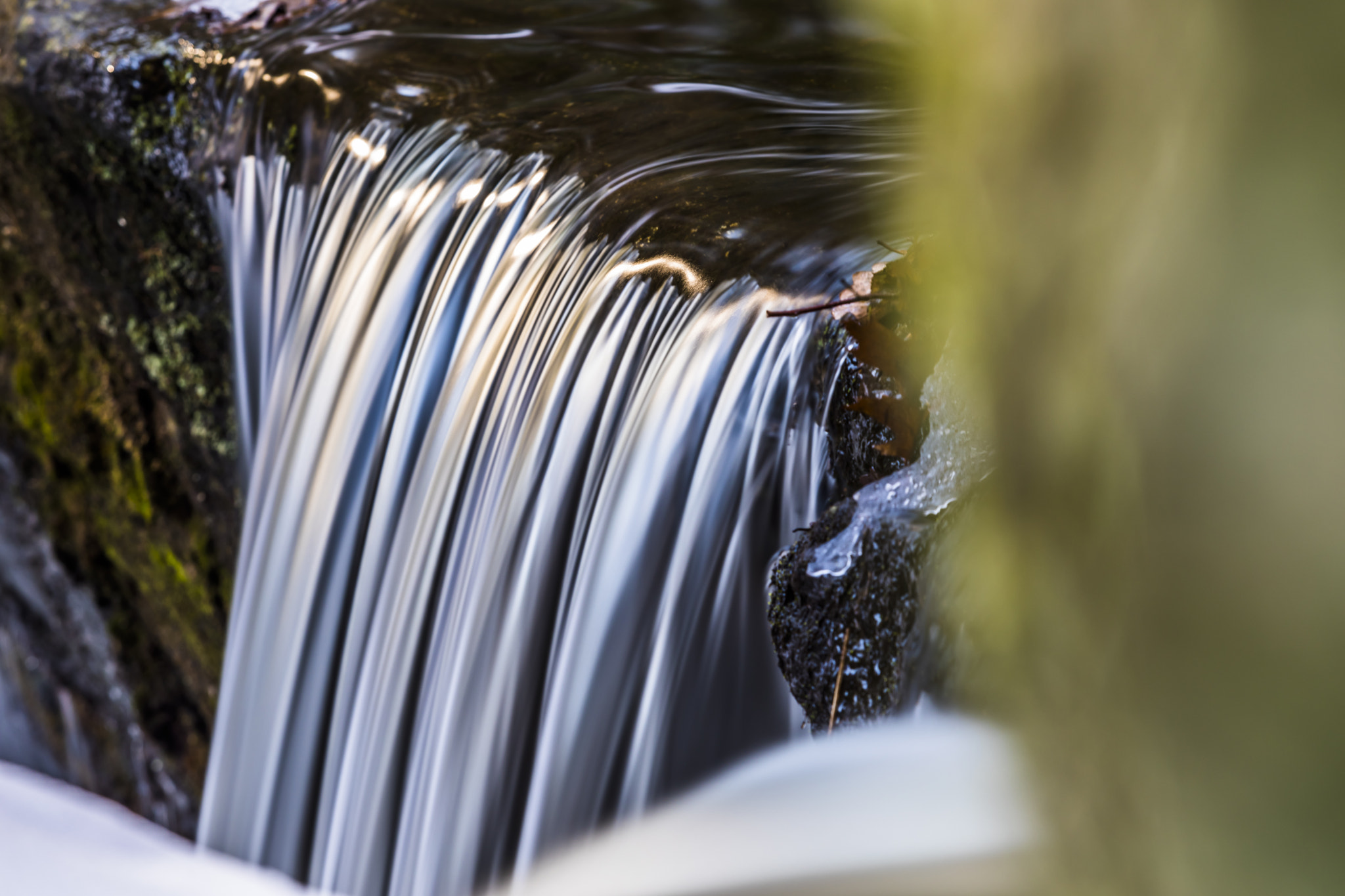 Canon EF 70-200mm F2.8L USM sample photo. Morning closeup photography