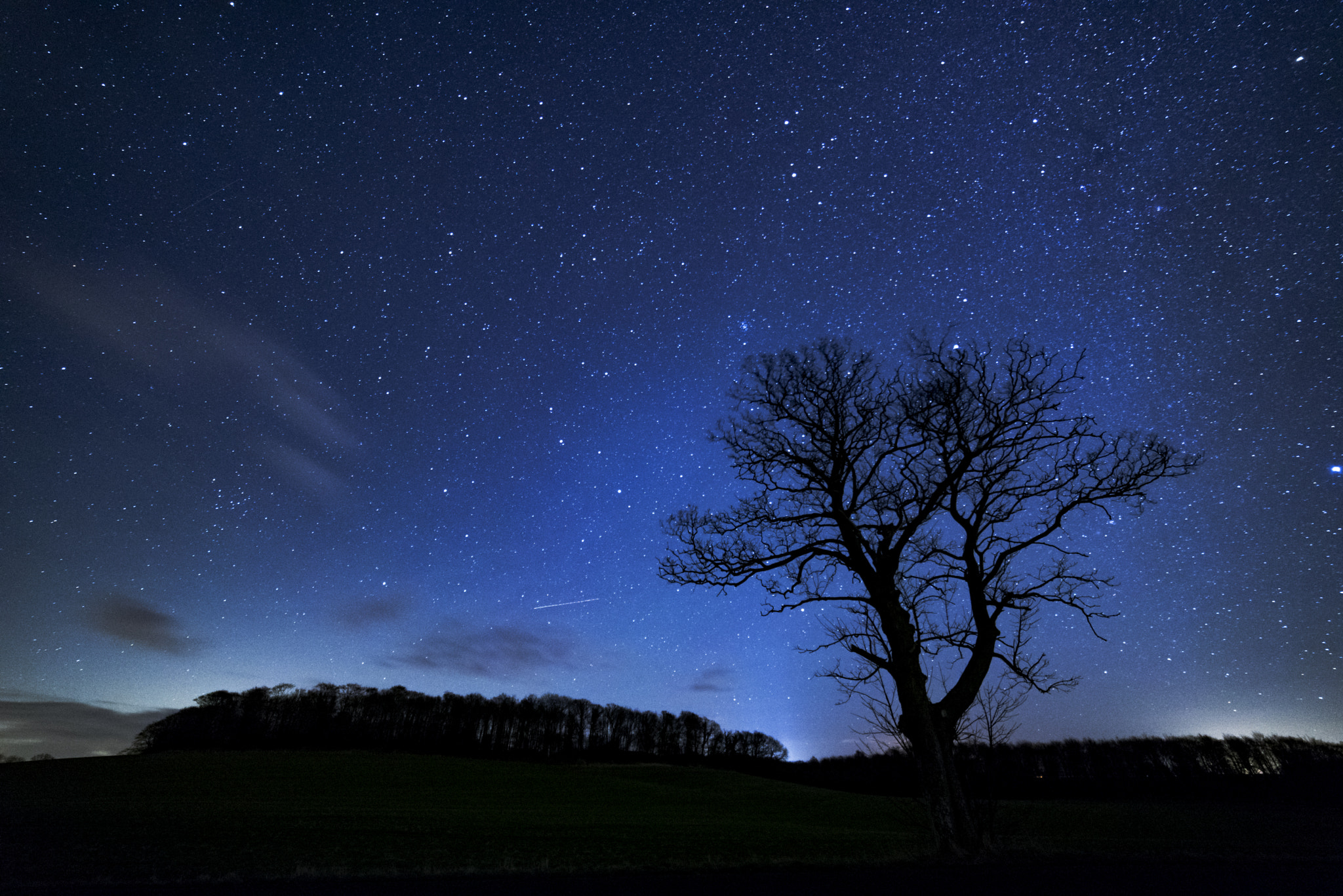 Samyang 14mm F2.8 ED AS IF UMC sample photo. Reaching for the stars photography