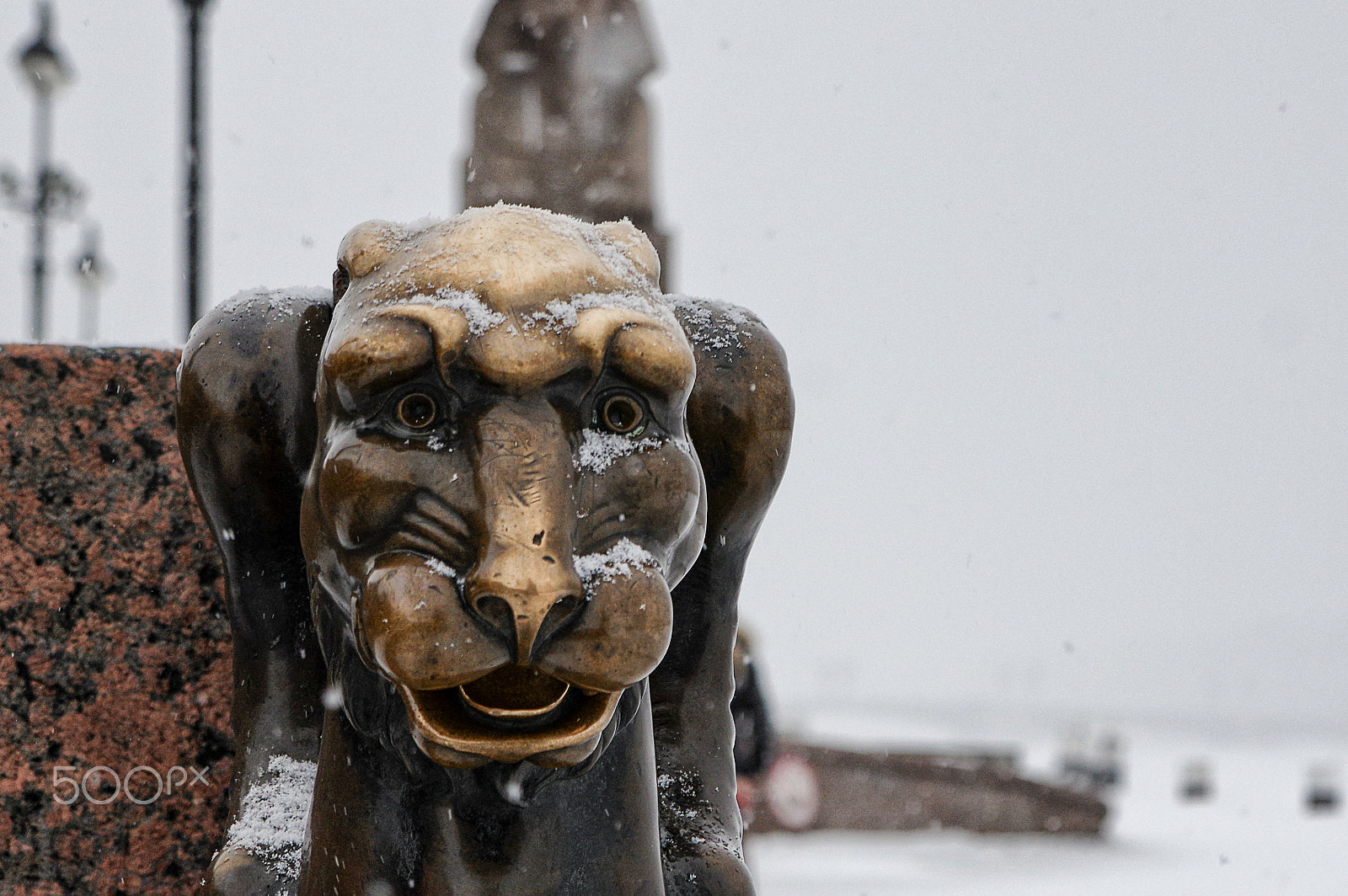 Pentax K-3 sample photo. Griffin photography