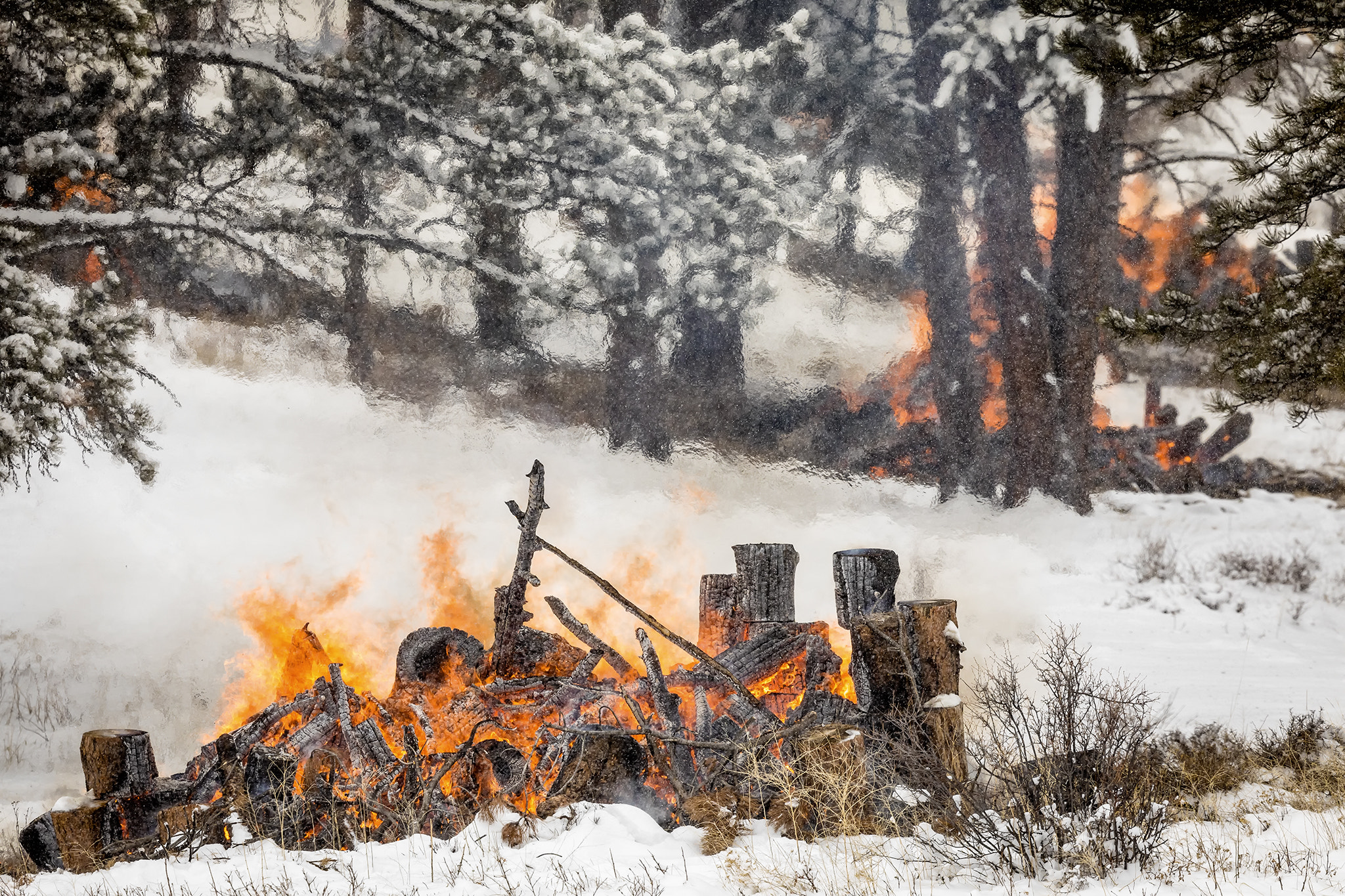 Canon EF 400mm F4 DO IS II USM sample photo. Shimmering air above the slash fire photography