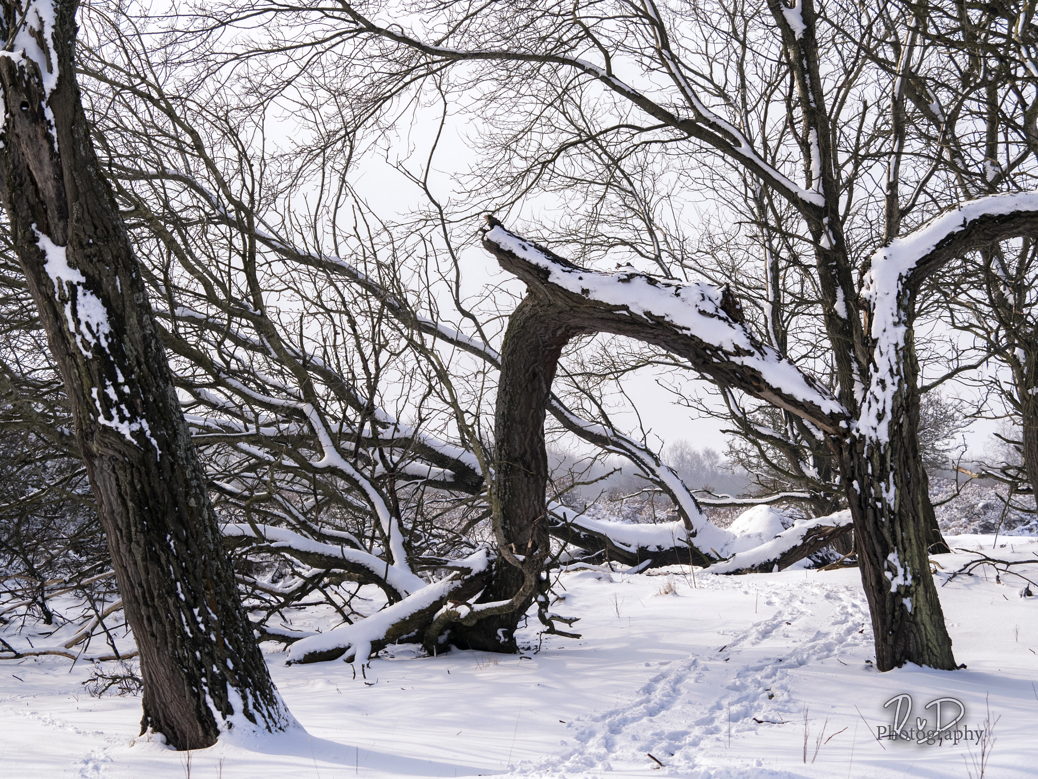 Olympus OM-D E-M5 II + Olympus M.Zuiko Digital ED 40-150mm F2.8 Pro sample photo. The passage photography