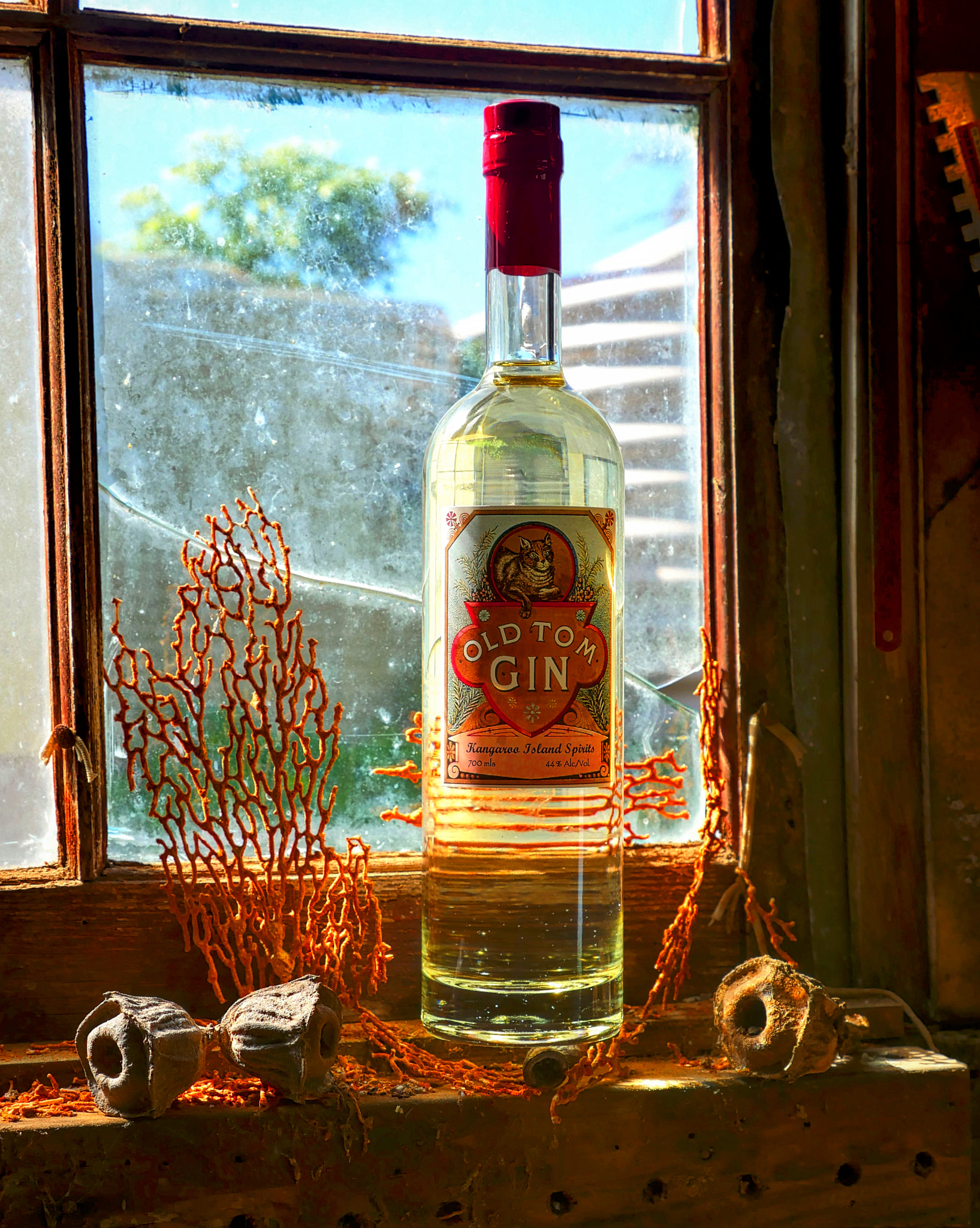Panasonic Lumix G X Vario 12-35mm F2.8 ASPH Power OIS sample photo. Old tom photography