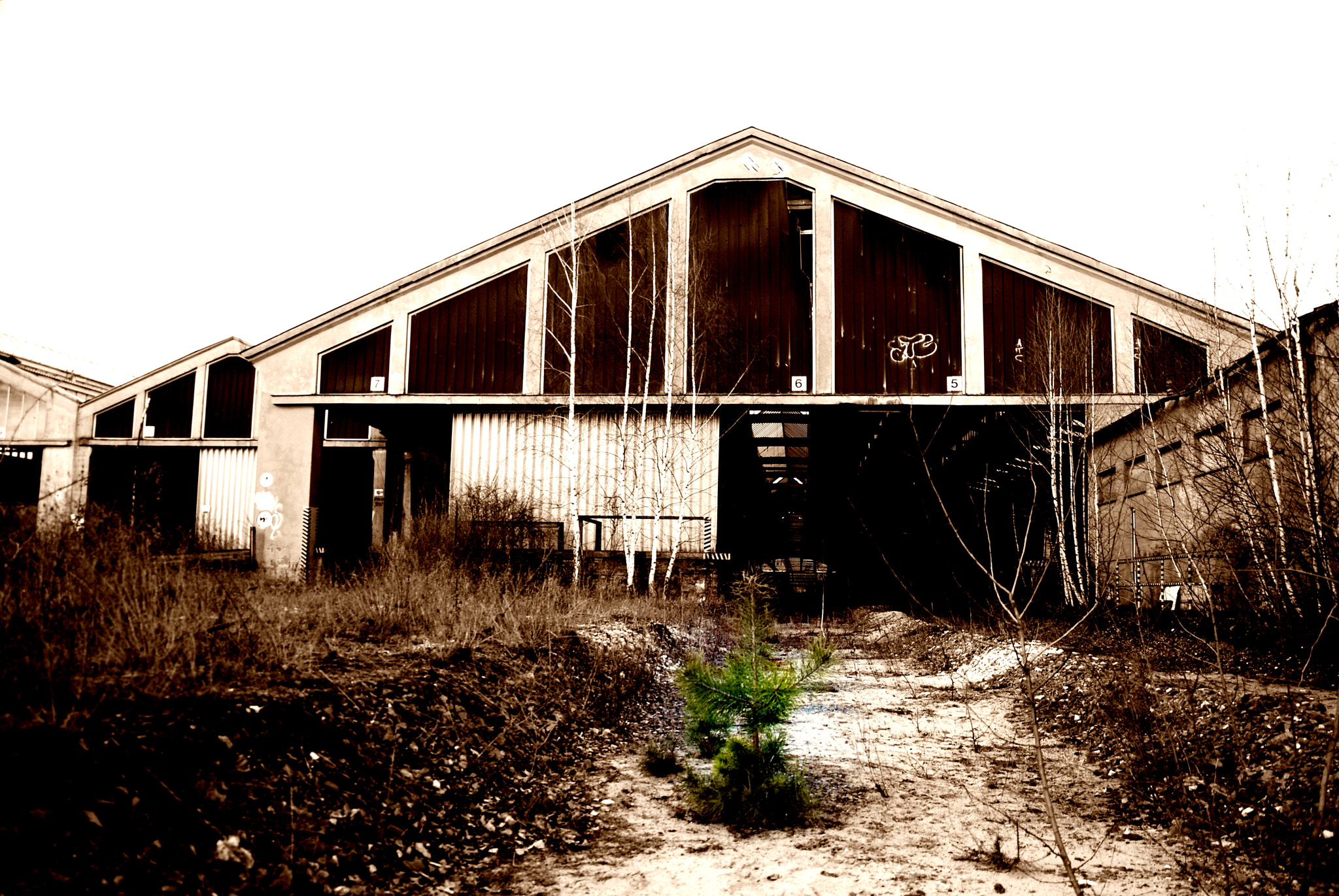 Nikon D80 sample photo. Lost place photography