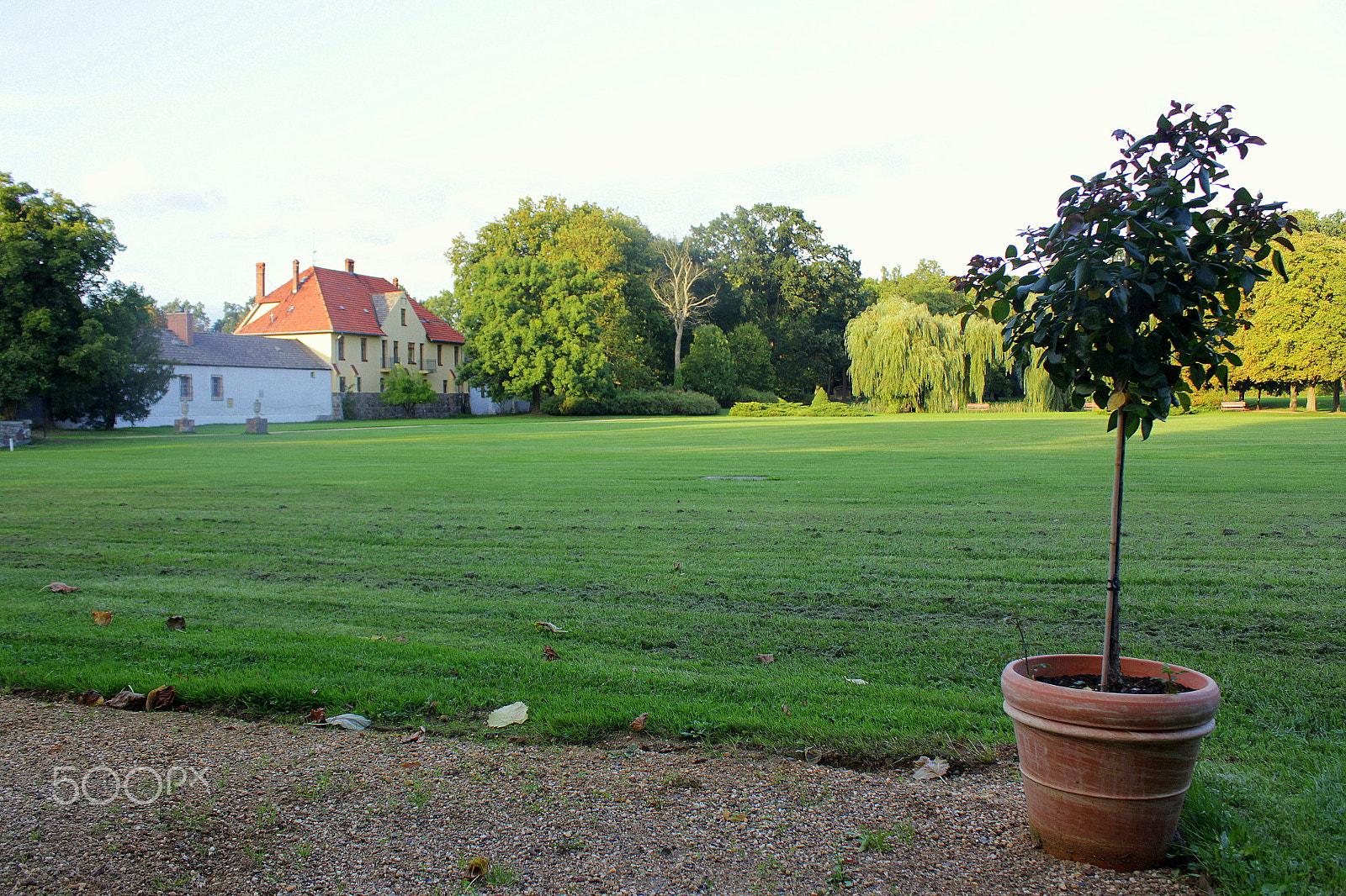 Canon EOS 550D (EOS Rebel T2i / EOS Kiss X4) sample photo. Schloss & gut liebenberg photography