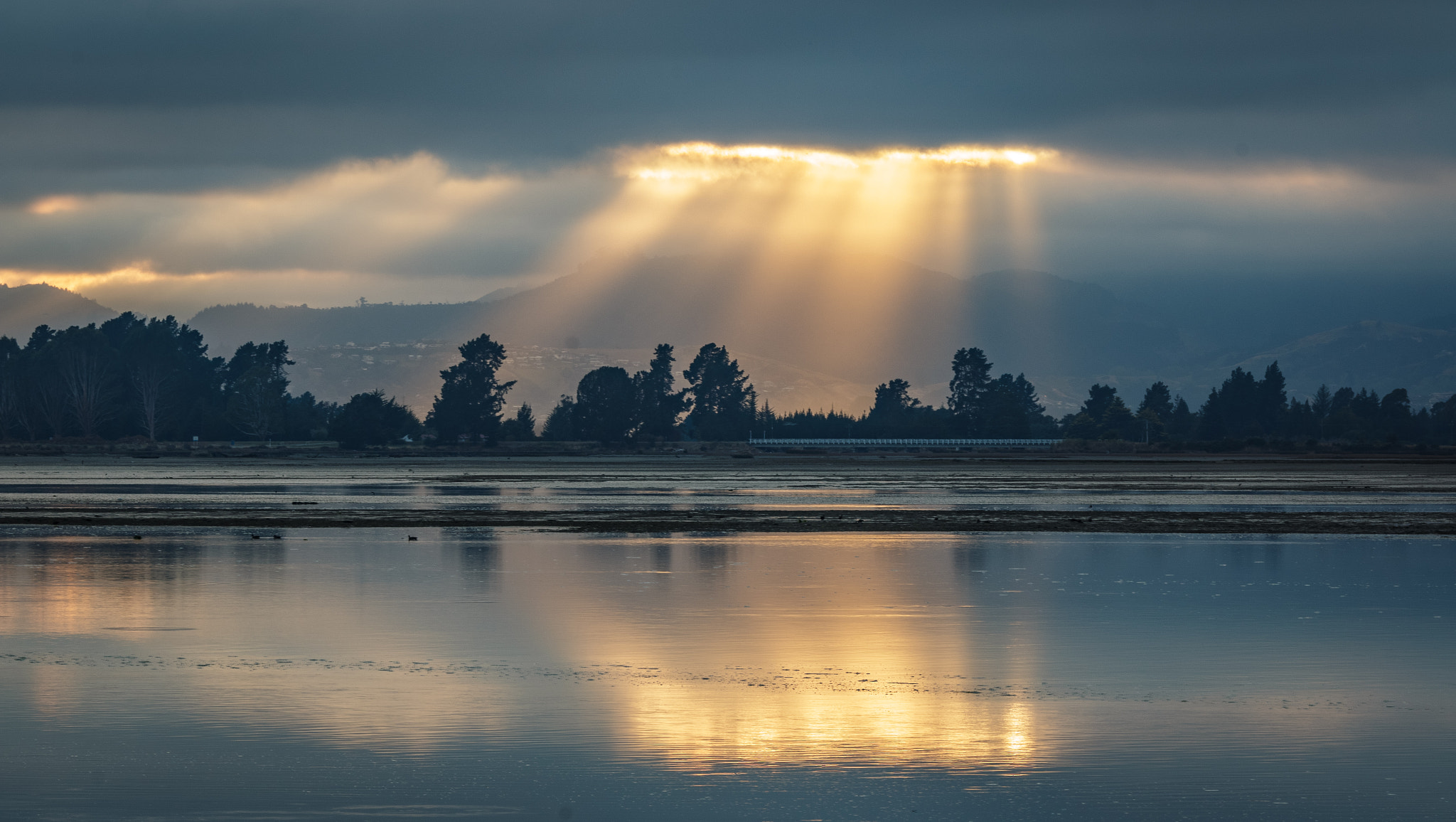 Canon EOS 70D + Canon EF 70-200mm F4L IS USM sample photo. Early morning sunbeams photography