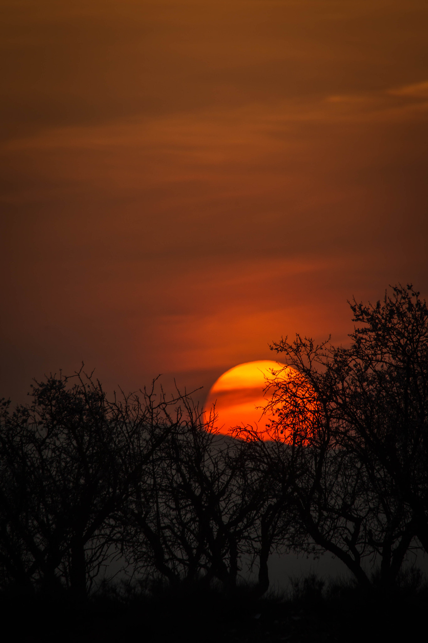 Canon EOS-1D Mark IV sample photo. Sun photography