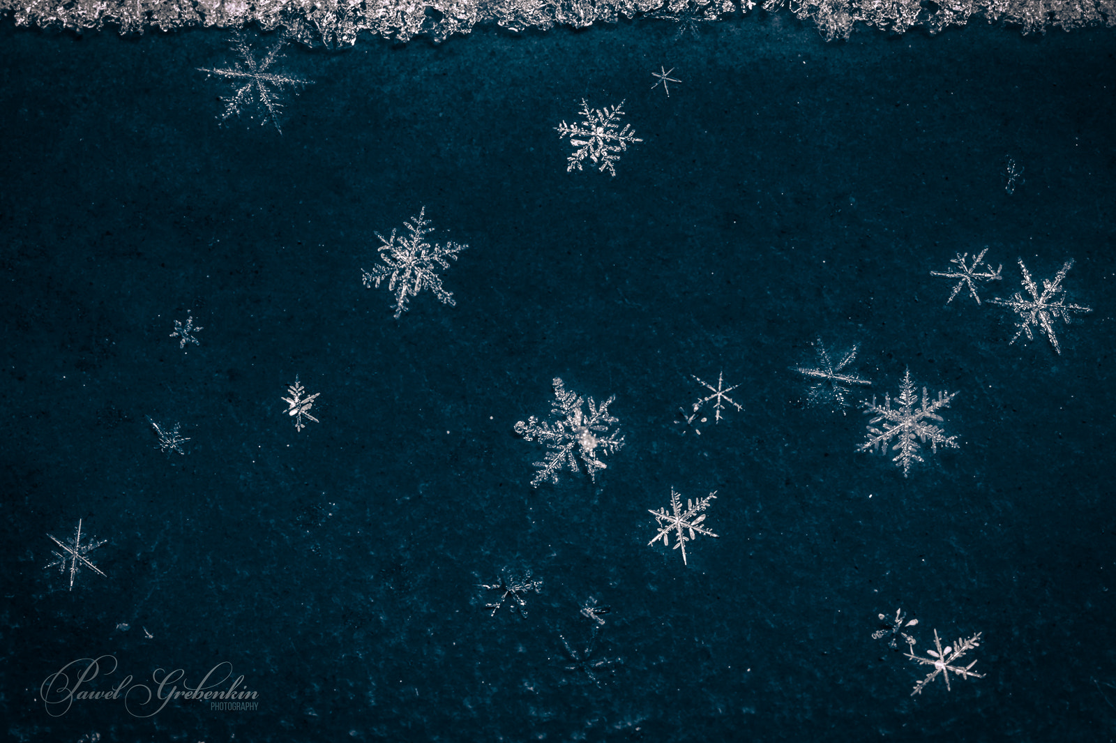 Canon EF 100mm F2.8L Macro IS USM sample photo. Ice crystals on the dark background photography