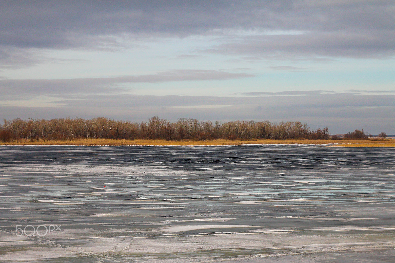 Canon EF 35-80mm f/4-5.6 sample photo. 500 photography