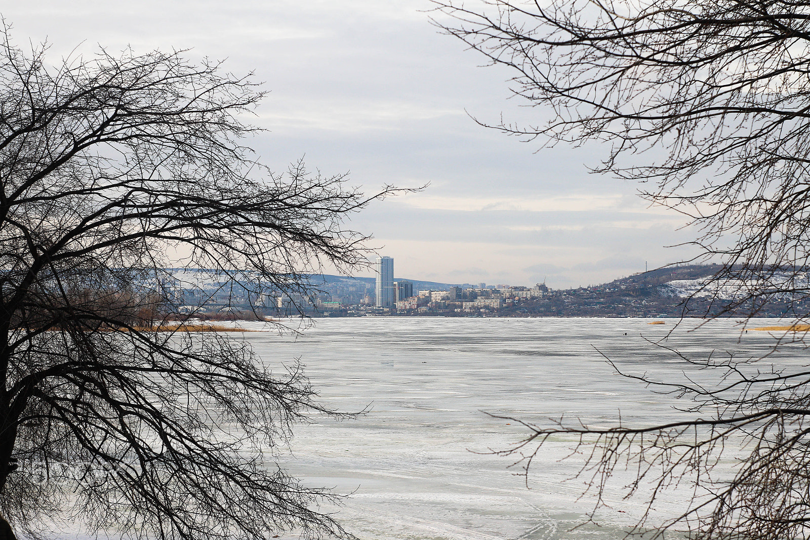 Canon EF 35-80mm f/4-5.6 sample photo. 501 photography