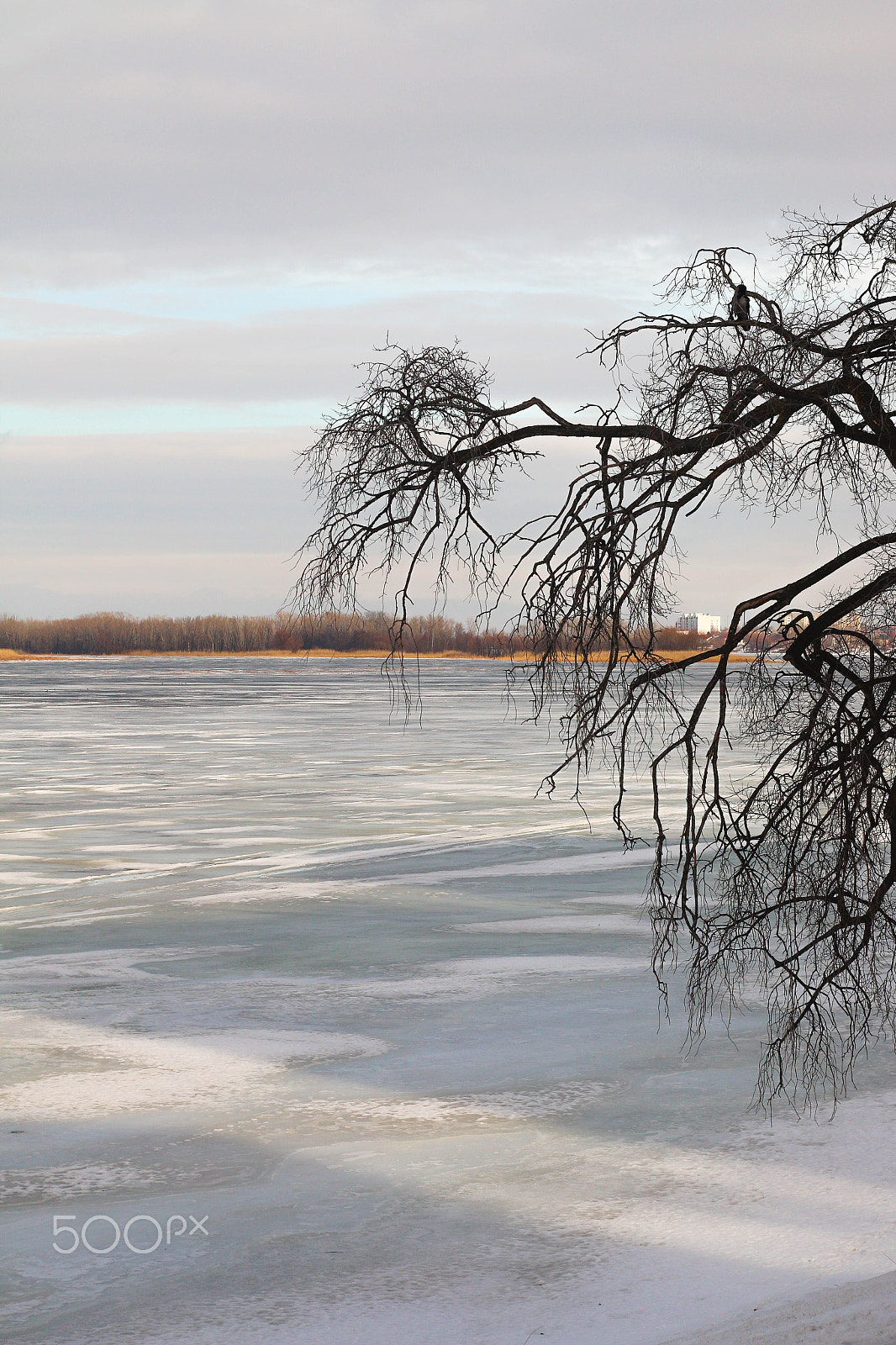 Canon EF 35-80mm f/4-5.6 sample photo. 503 photography