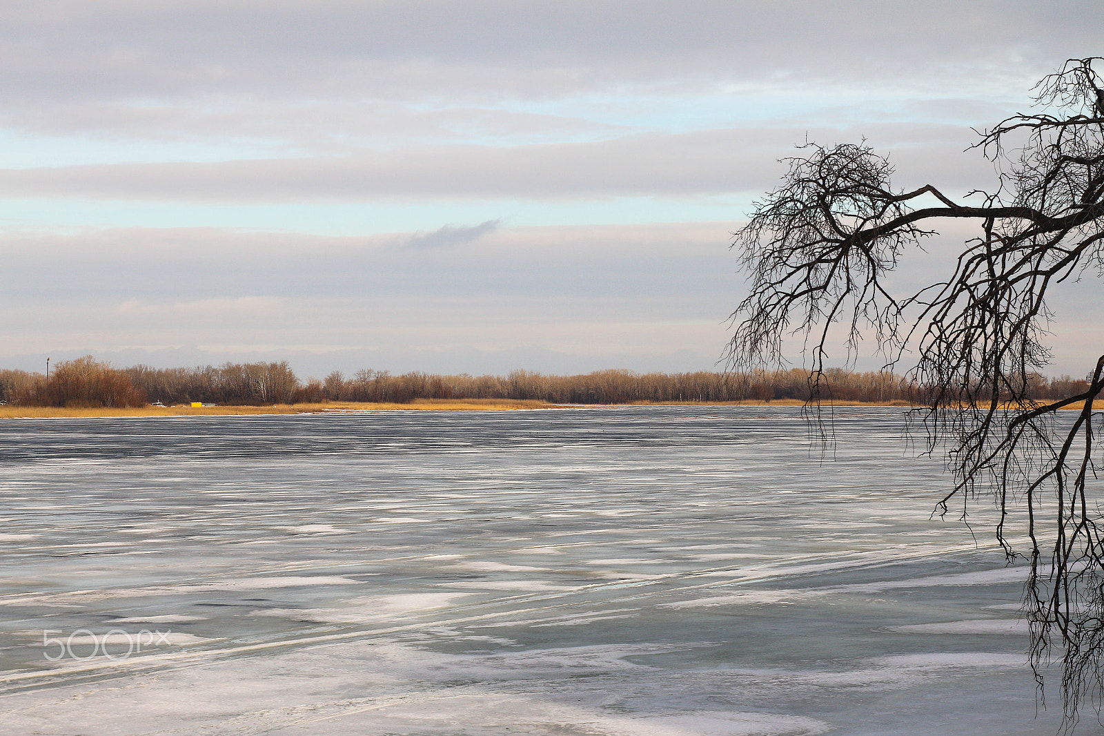 Canon EF 35-80mm f/4-5.6 sample photo. 502 photography