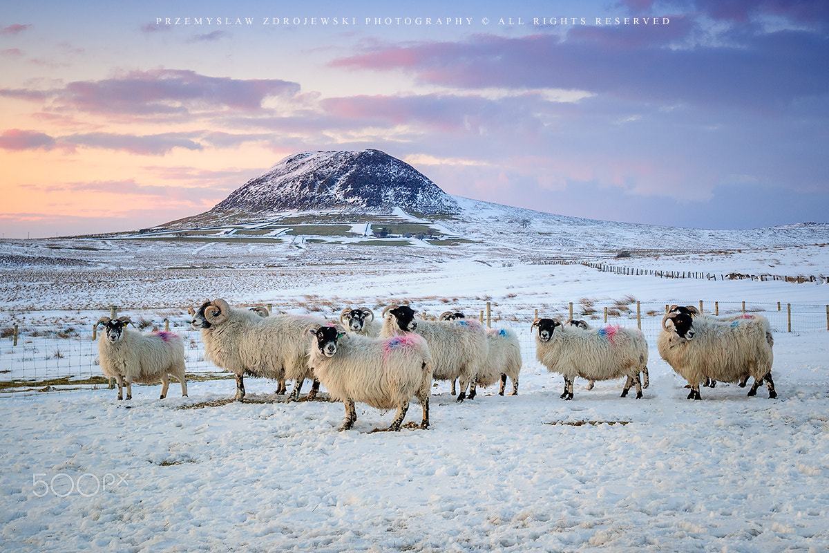 Nikon AF-S Nikkor 17-35mm F2.8D ED-IF sample photo. Slemish mountain photography
