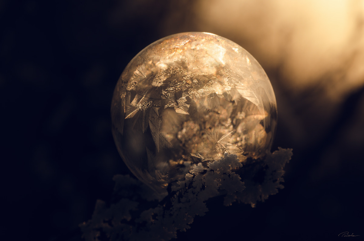 Nikon AF-S Micro-Nikkor 105mm F2.8G IF-ED VR sample photo. Frozen bubble photography