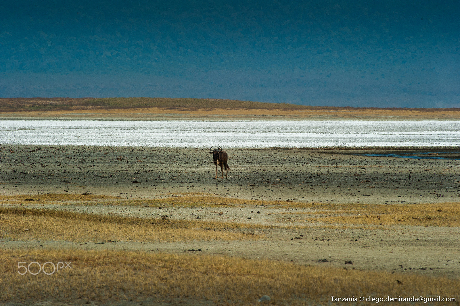 Nikon D700 sample photo. Ngoro ngoro crater photography
