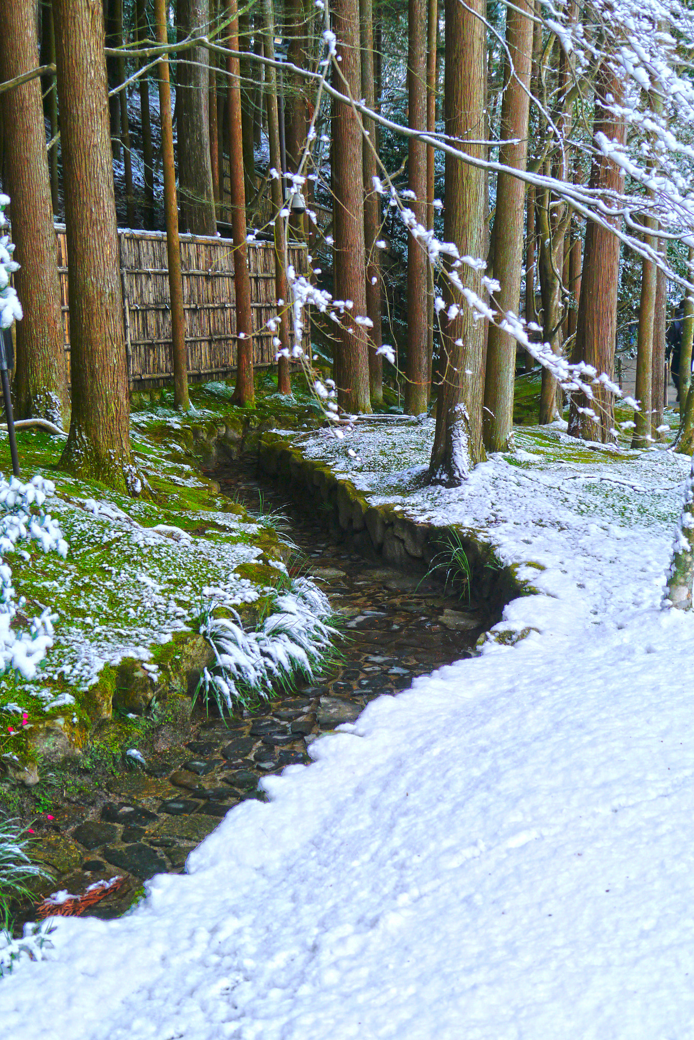 Panasonic Lumix DMC-GX1 sample photo. Winter in kyoto photography