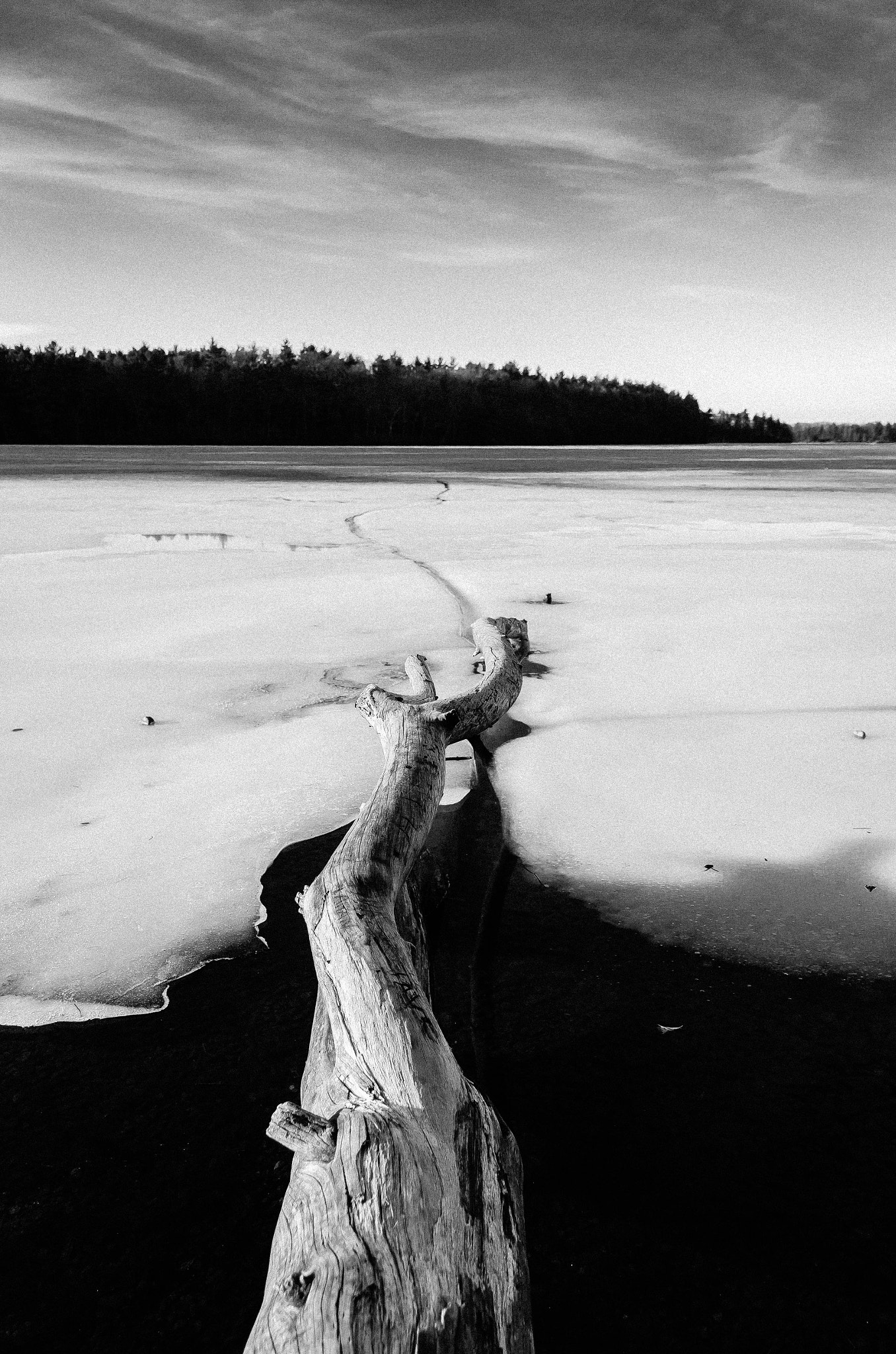 Sigma 17-50mm F2.8 EX DC OS HSM sample photo. Breaking the ice photography