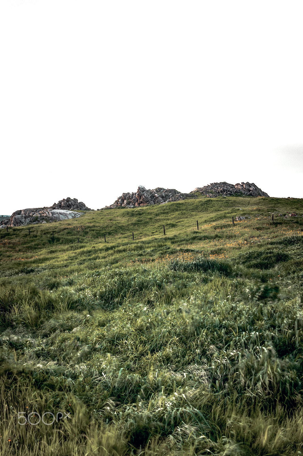 Canon EOS 1200D (EOS Rebel T5 / EOS Kiss X70 / EOS Hi) sample photo. Rocky terrain among a lush green landscape photography