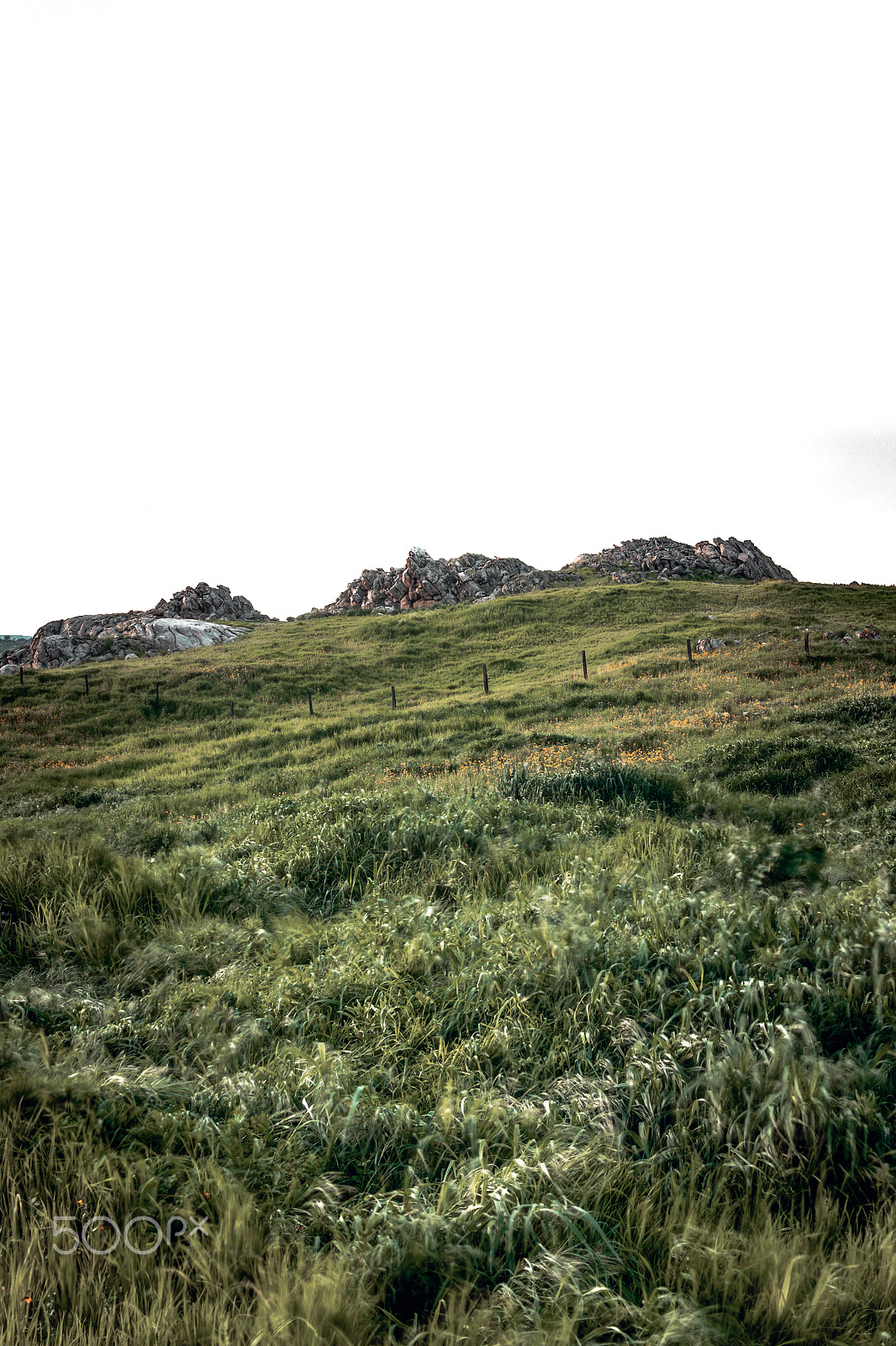 Sigma 30mm F1.4 EX DC HSM sample photo. Rocky terrain among a lush green landscape photography
