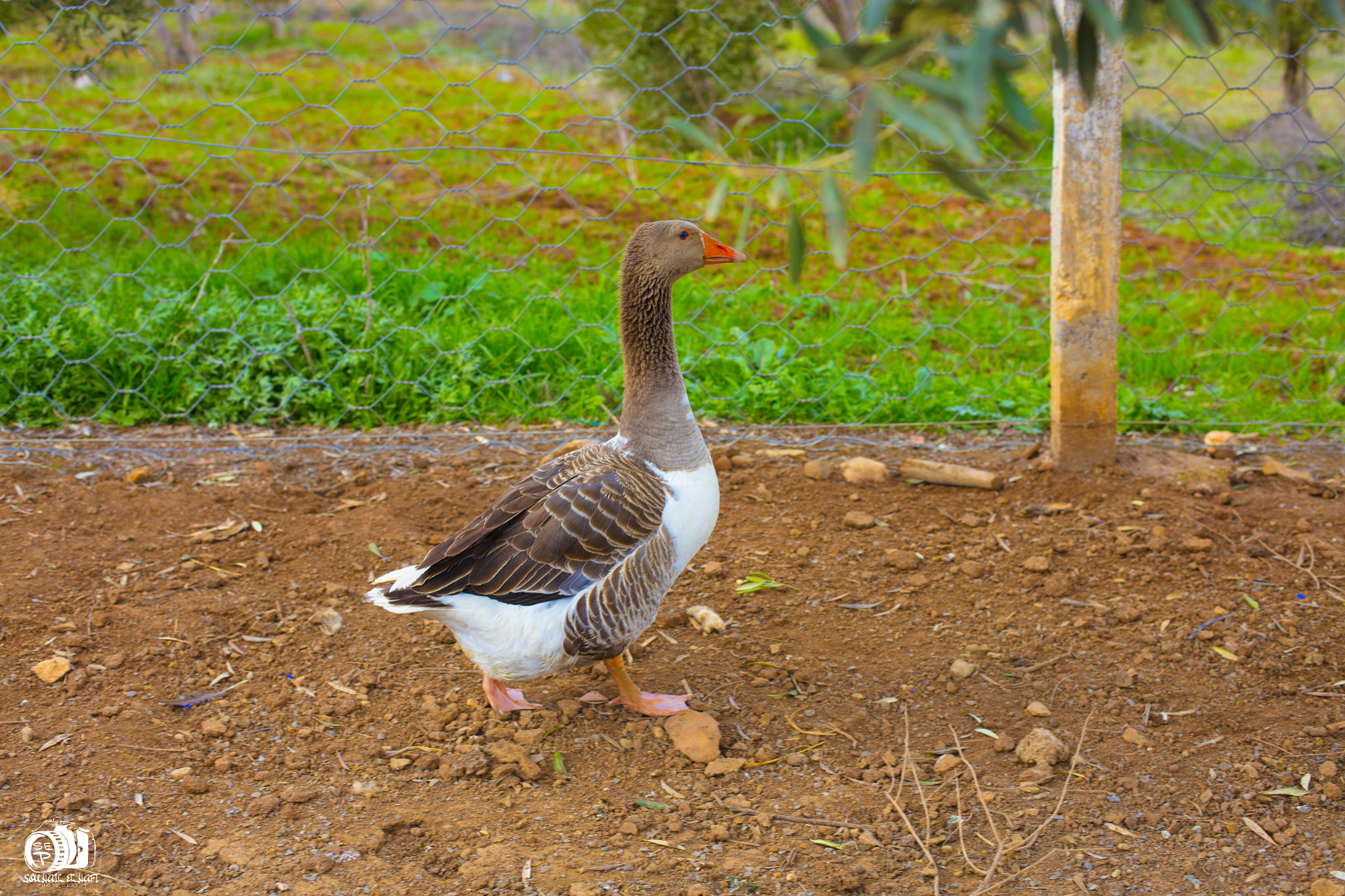 Canon EOS 5DS R sample photo. Azlaf photography