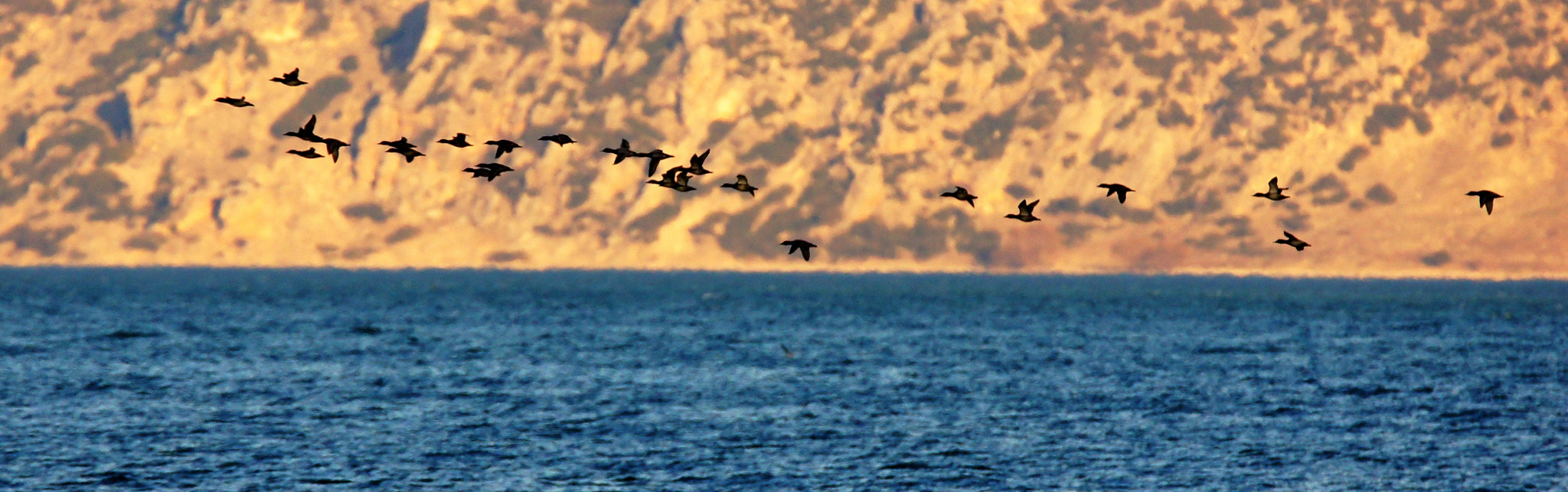 Sony SLT-A55 (SLT-A55V) + Tamron SP 150-600mm F5-6.3 Di VC USD sample photo. EĞİrdİr lake iv photography