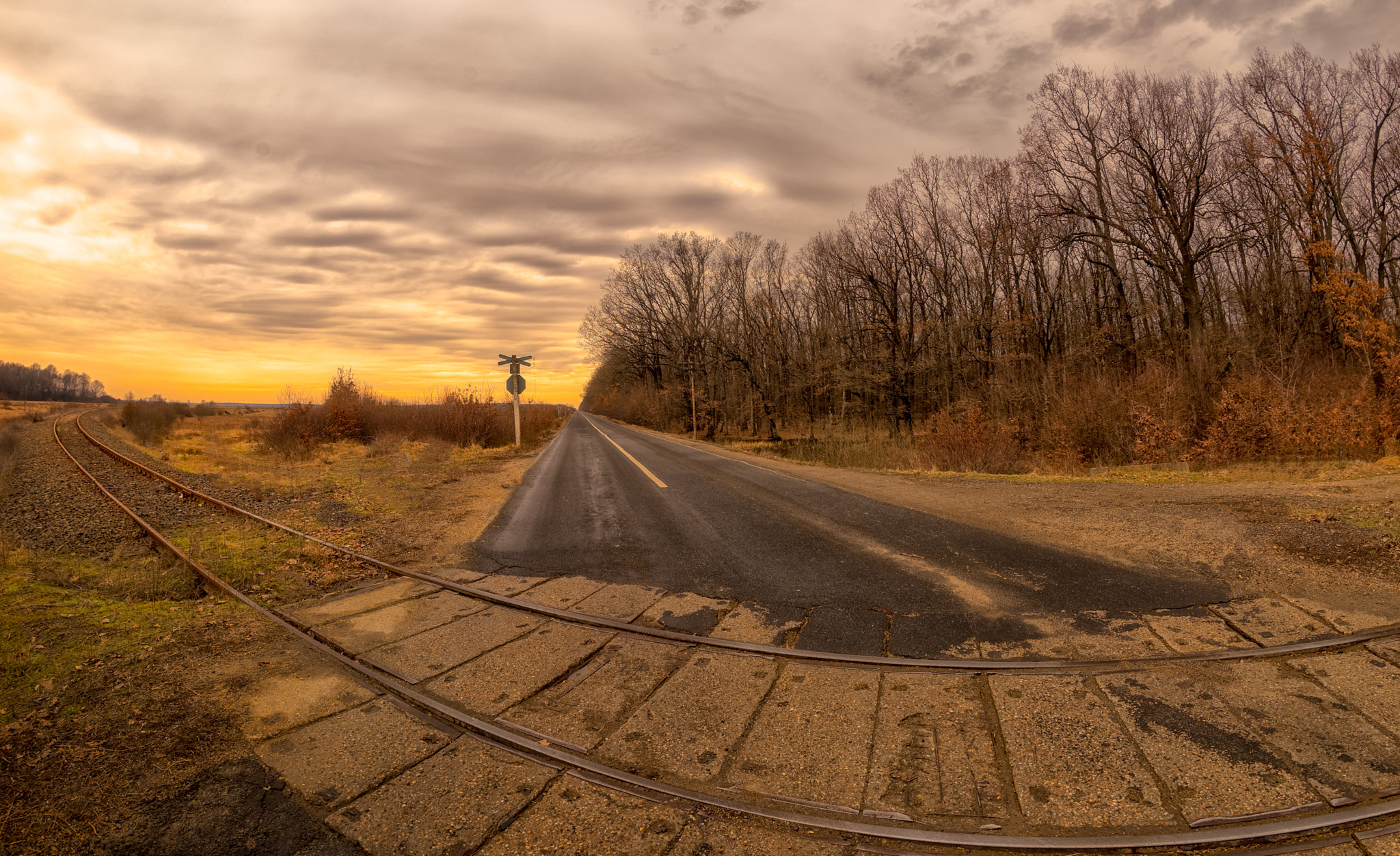 Nikon D810 + Samyang 12mm F2.8 ED AS NCS Fisheye sample photo. Crossroad photography