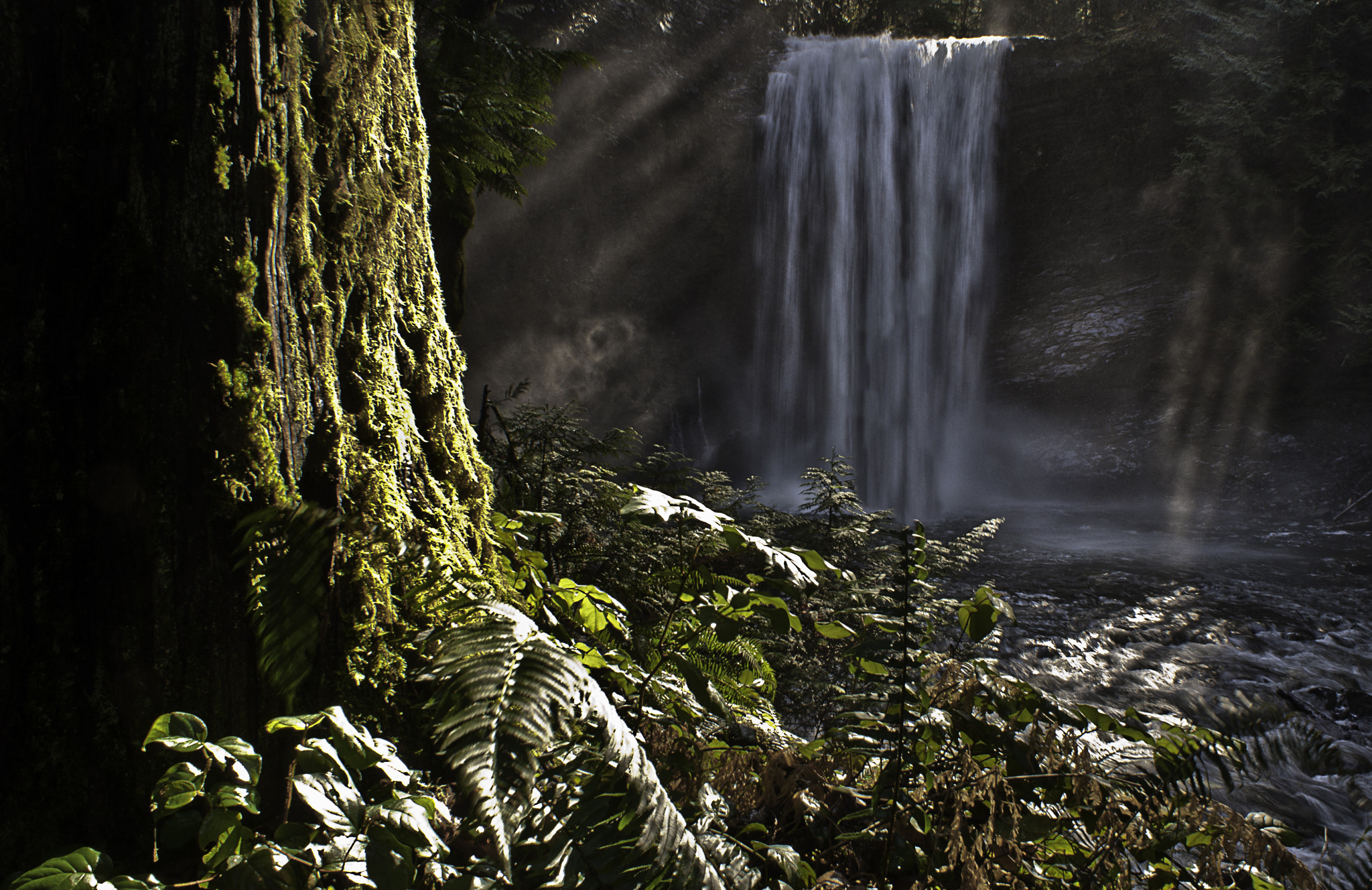Sony Alpha DSLR-A700 sample photo. Ammonite falls photography