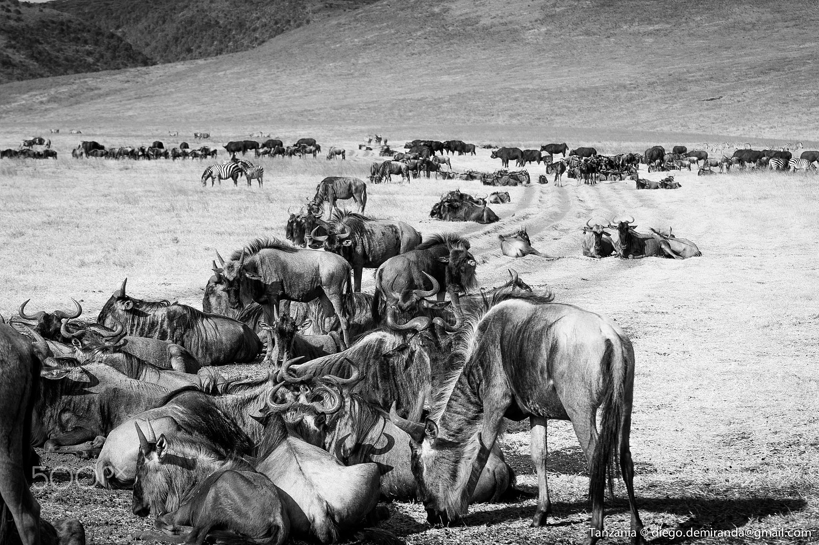 Nikon D700 sample photo. Ngoro ngoro crater photography