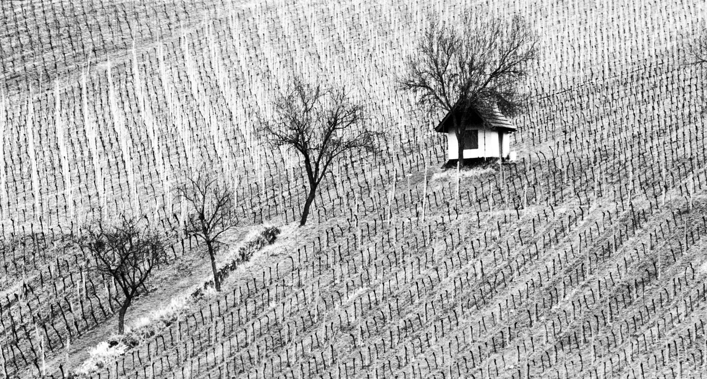 Pentax K-5 sample photo. House on the vineyard photography
