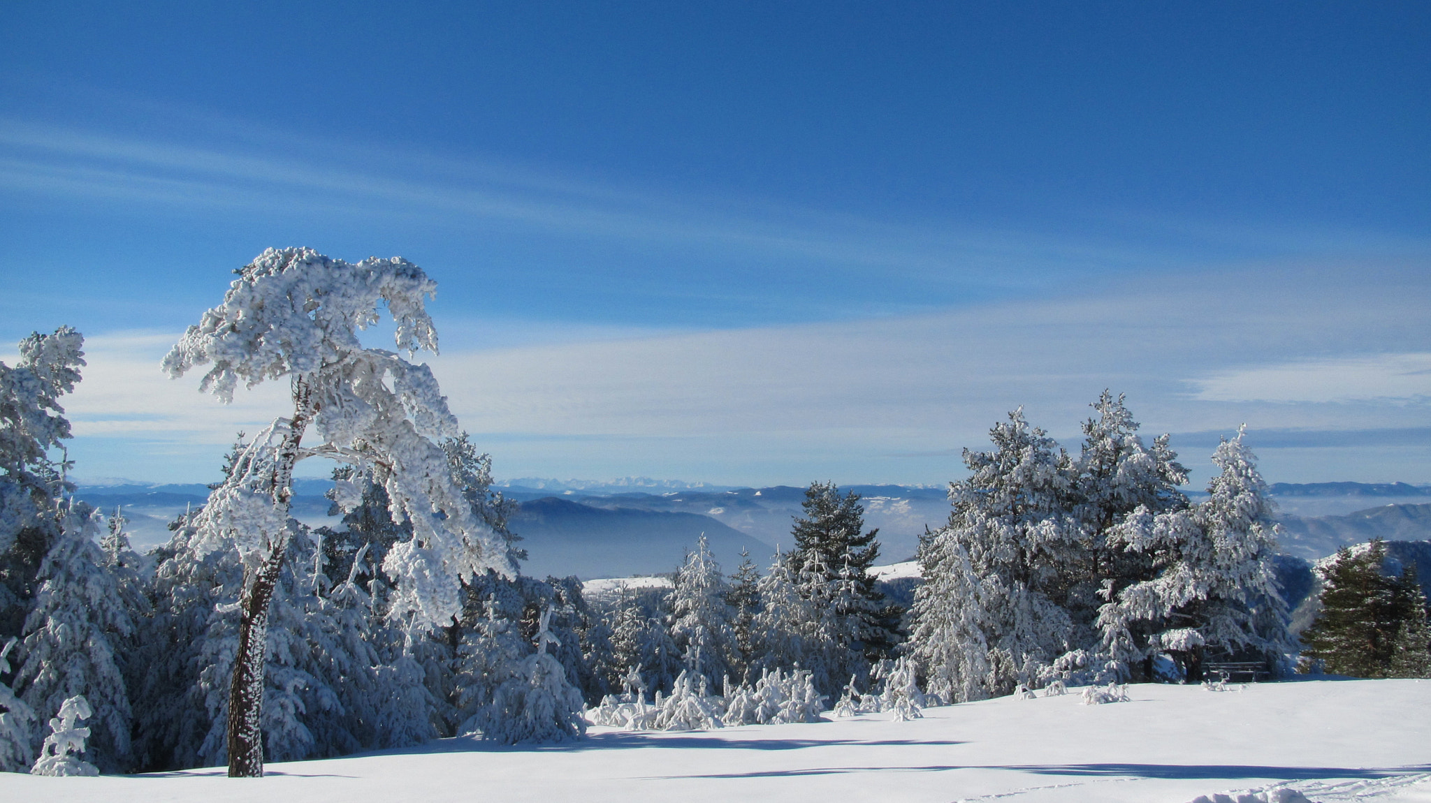 Canon PowerShot SD4500 IS (IXUS 1000 HS / IXY 50S) sample photo. Winter bliss photography