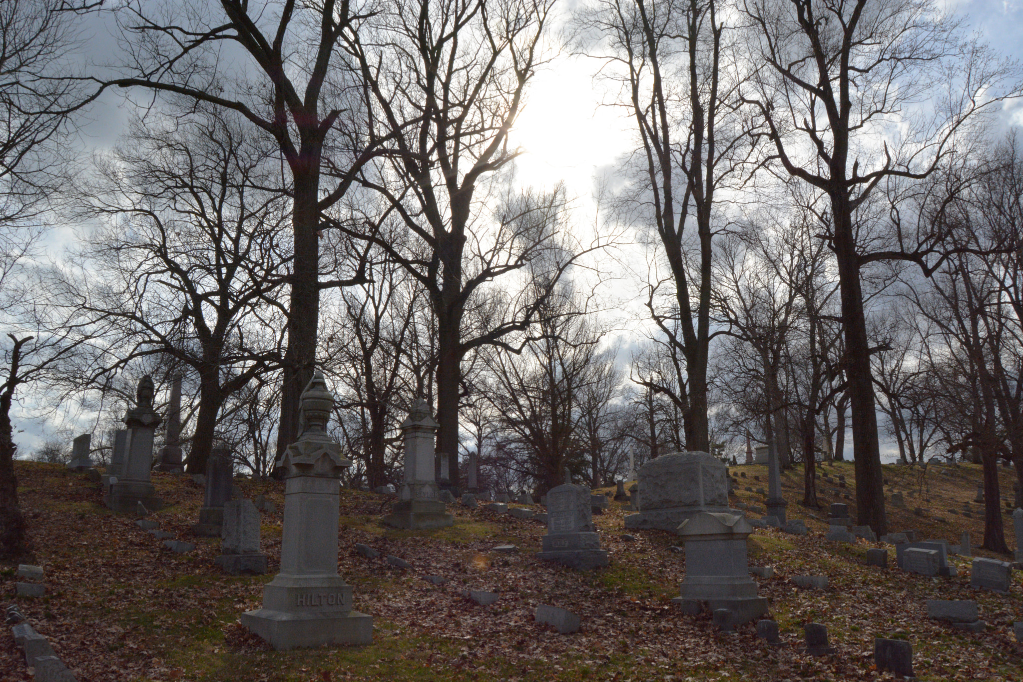 Nikon PC-E Nikkor 24mm F3.5D ED Tilt-Shift sample photo. Woodland cemetery photography