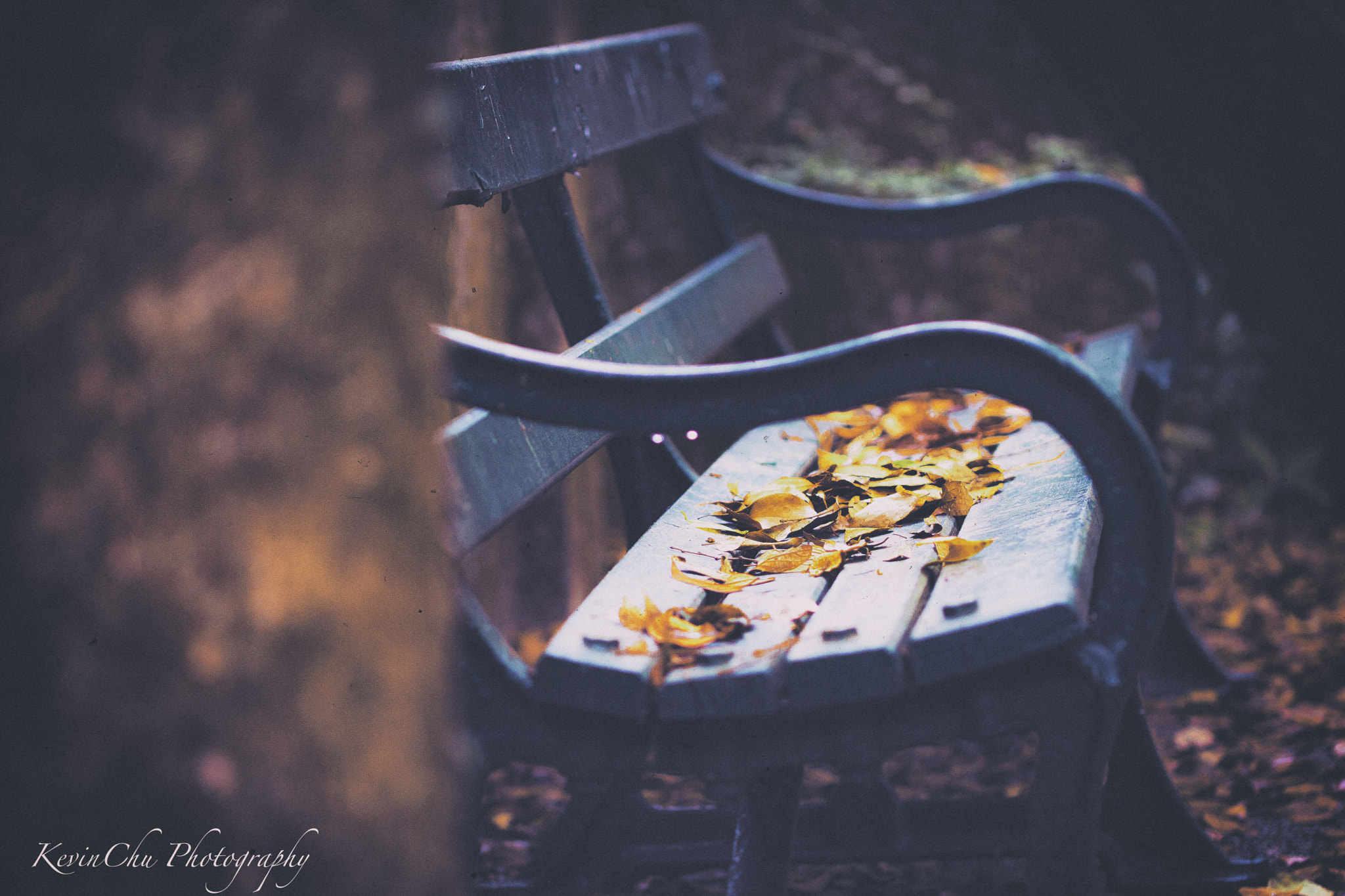Canon EOS 760D (EOS Rebel T6s / EOS 8000D) sample photo. An empty chair in autumn photography