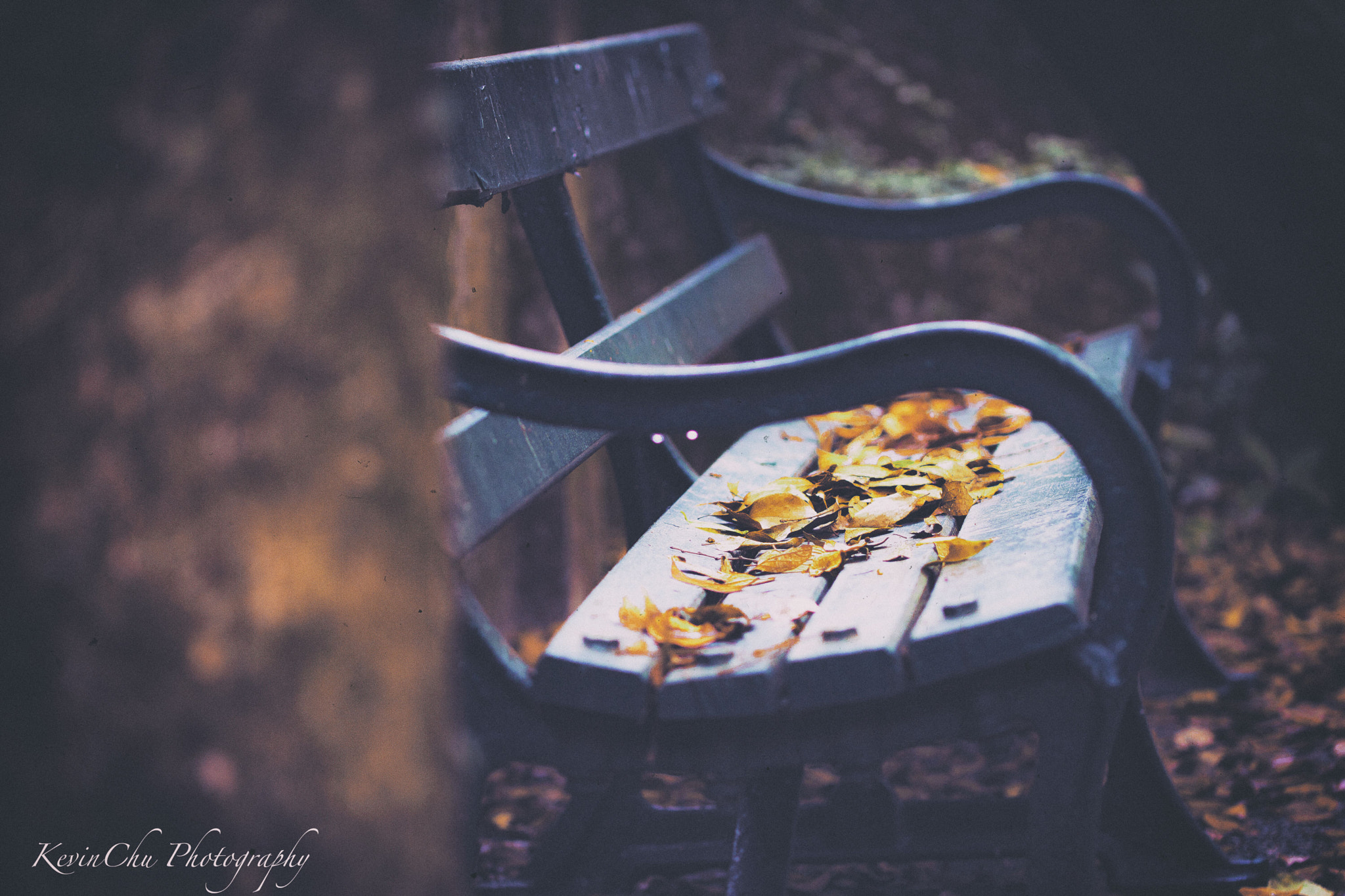 Canon EF 100mm F2.8L Macro IS USM sample photo. An empty chair in autumn photography