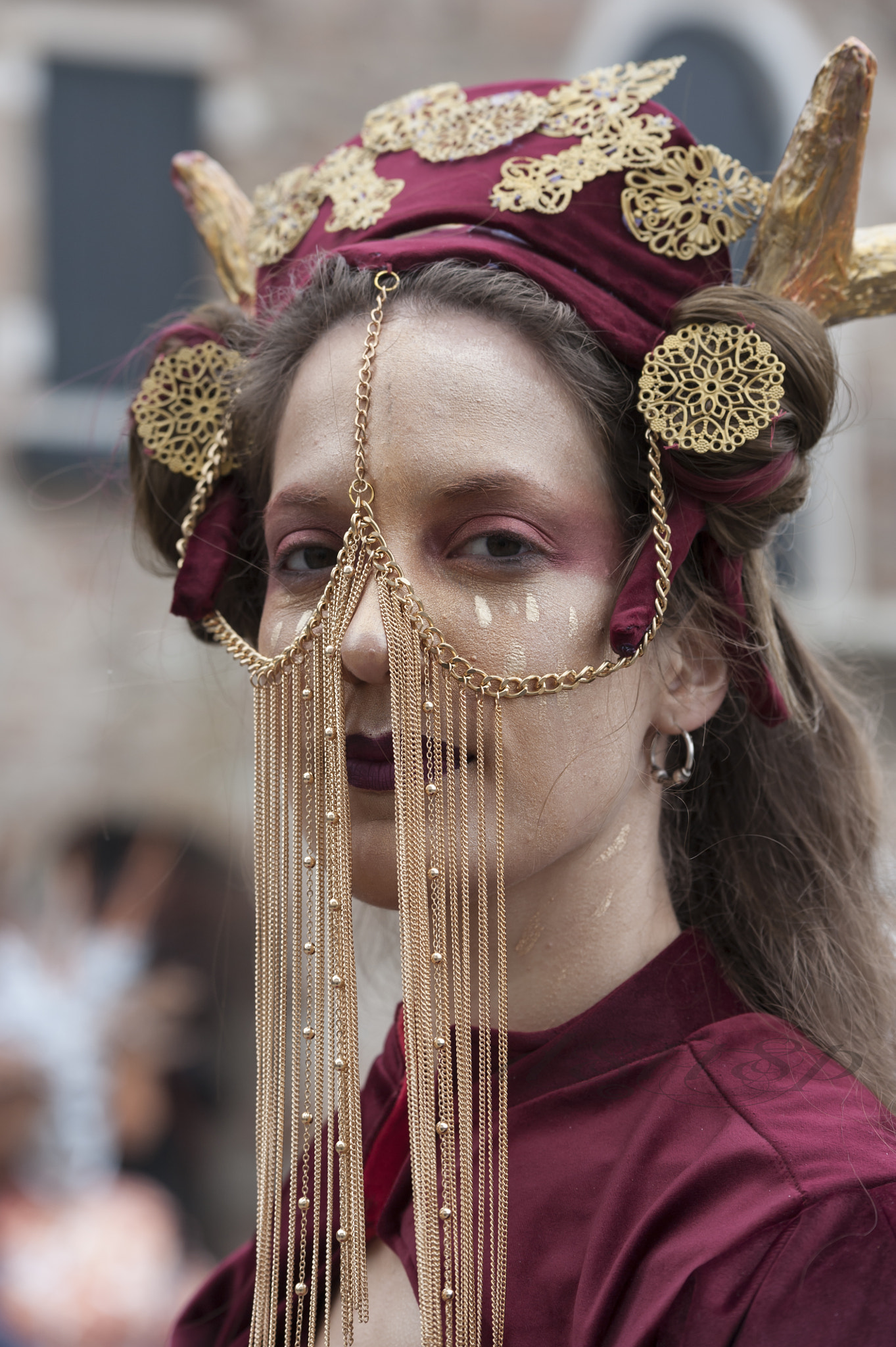 Nikon D700 + Sigma 70-200mm F2.8 EX DG OS HSM sample photo. " carnaval  a venise " photography