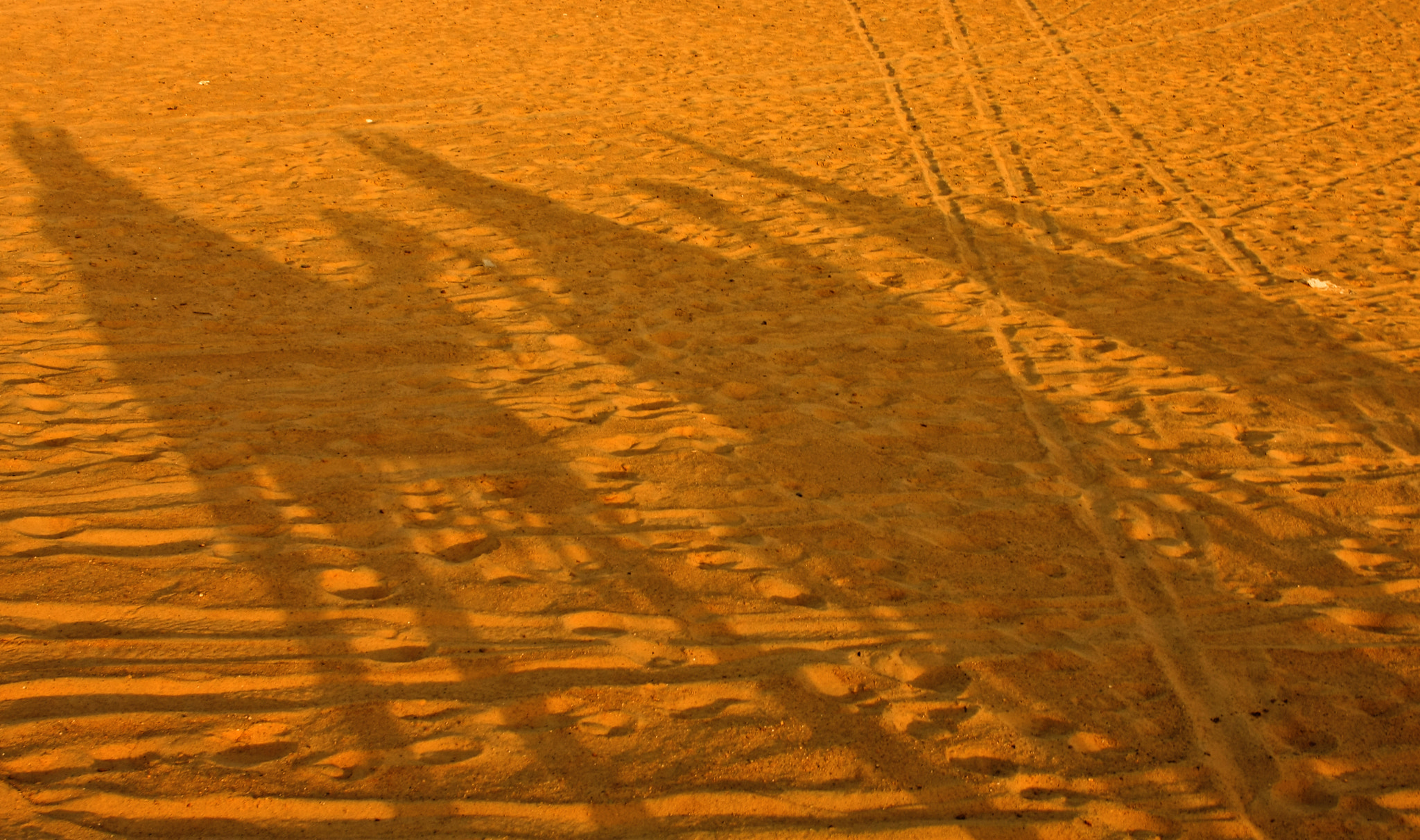 Canon EOS 40D sample photo. Traveler in desert photography
