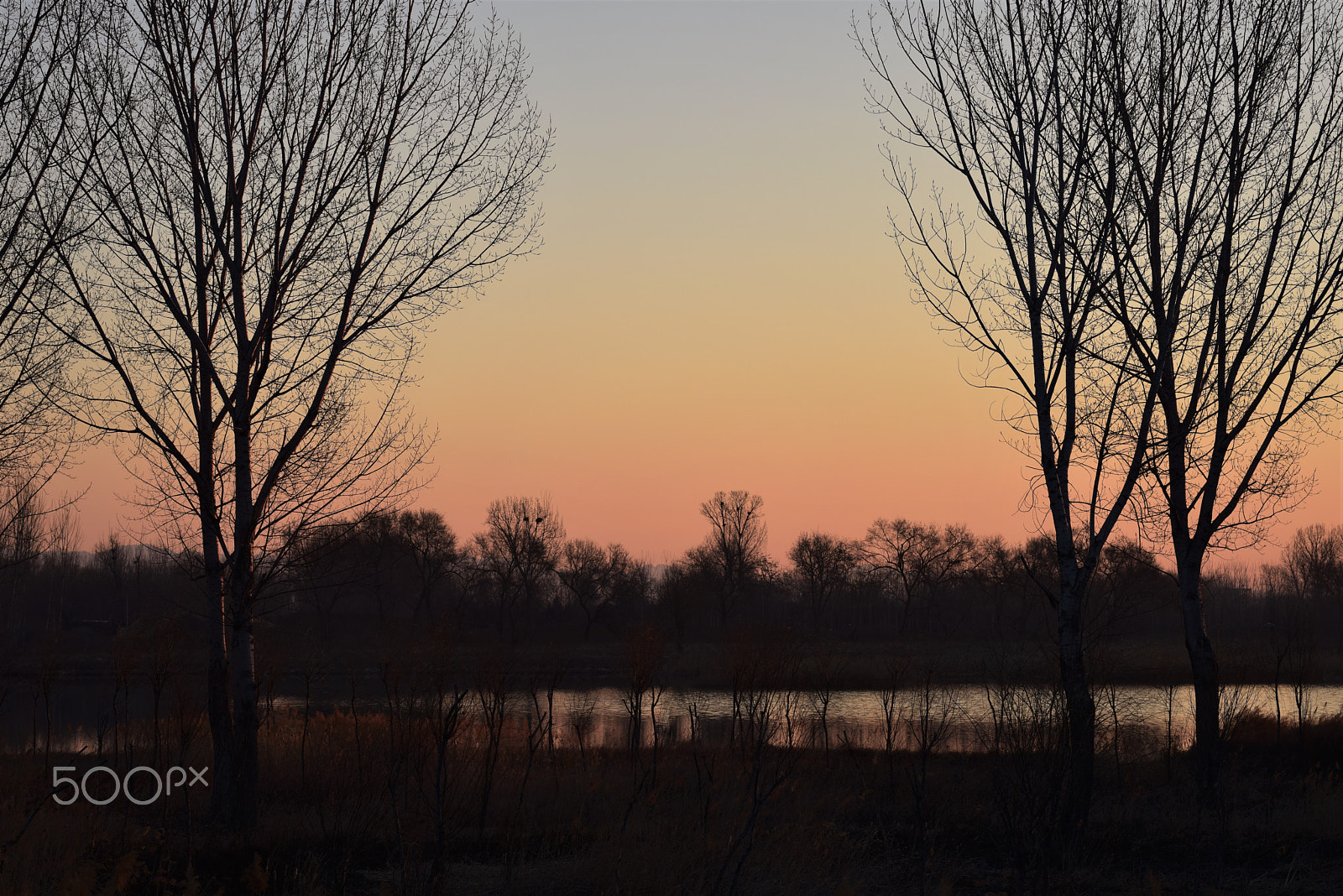 Nikon AF-S Nikkor 70-200mm F4G ED VR sample photo. The colour of the morning 2 photography