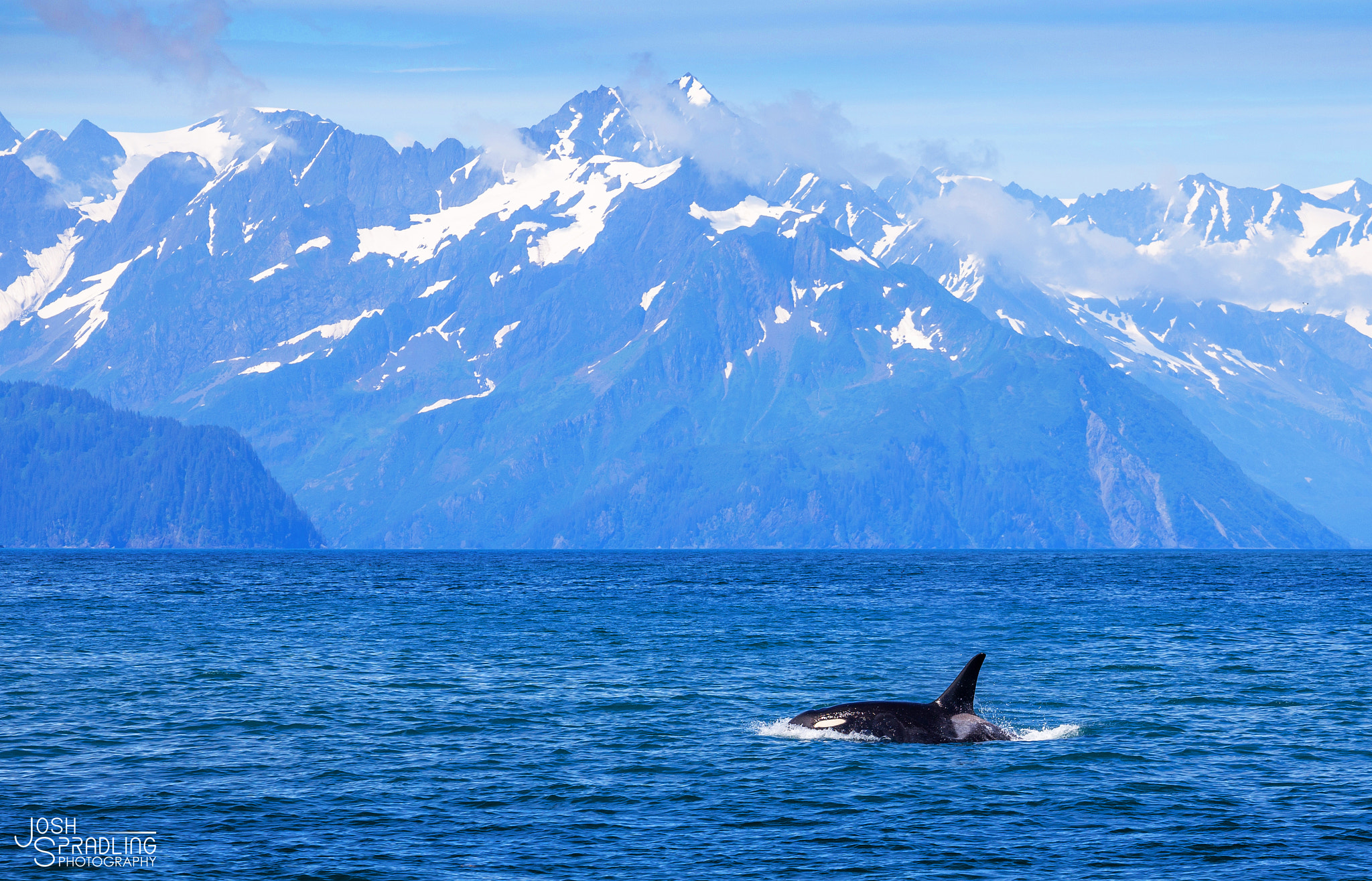 Canon EOS 6D sample photo. Alaska - orca photography