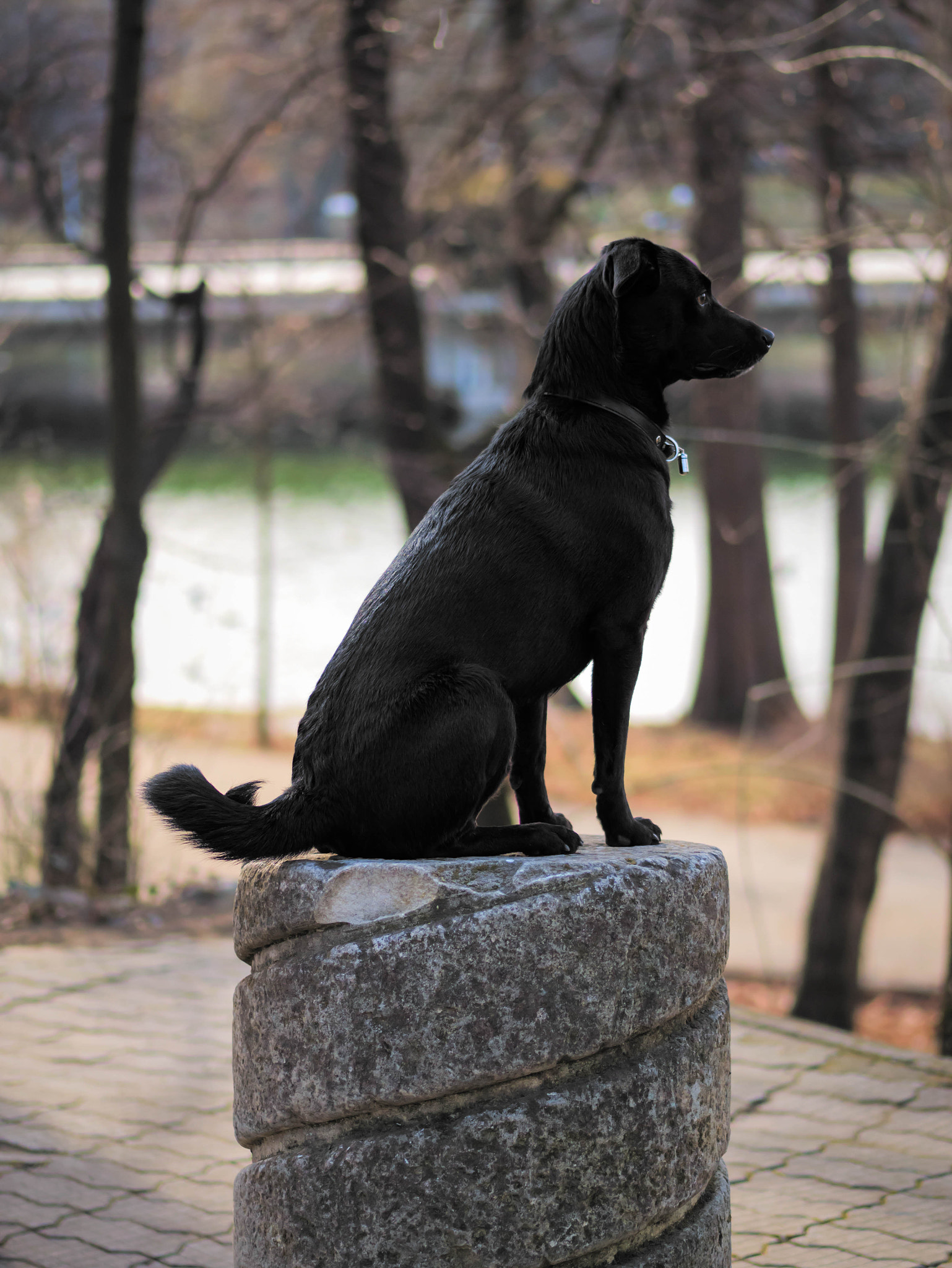 Panasonic Lumix G 42.5mm F1.7 ASPH Power OIS sample photo. Guard post photography
