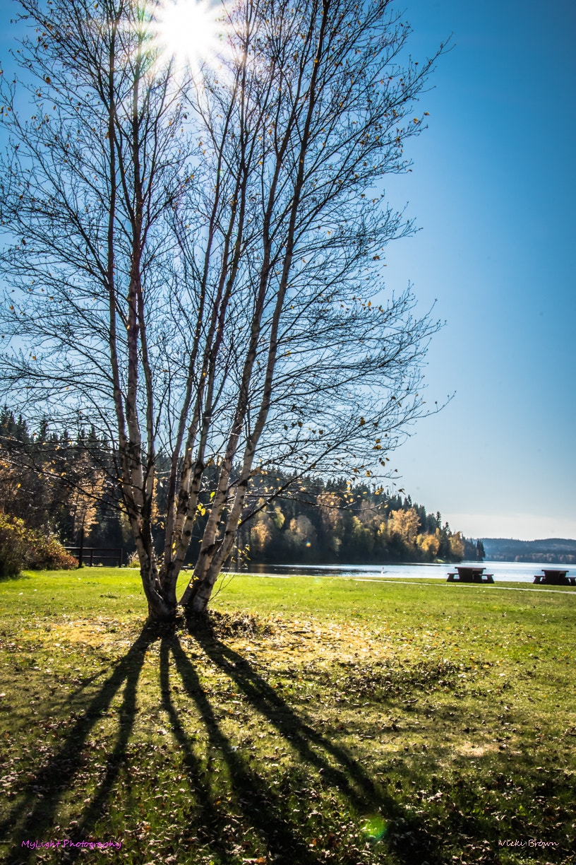 Nikon D7200 sample photo. High noon photography