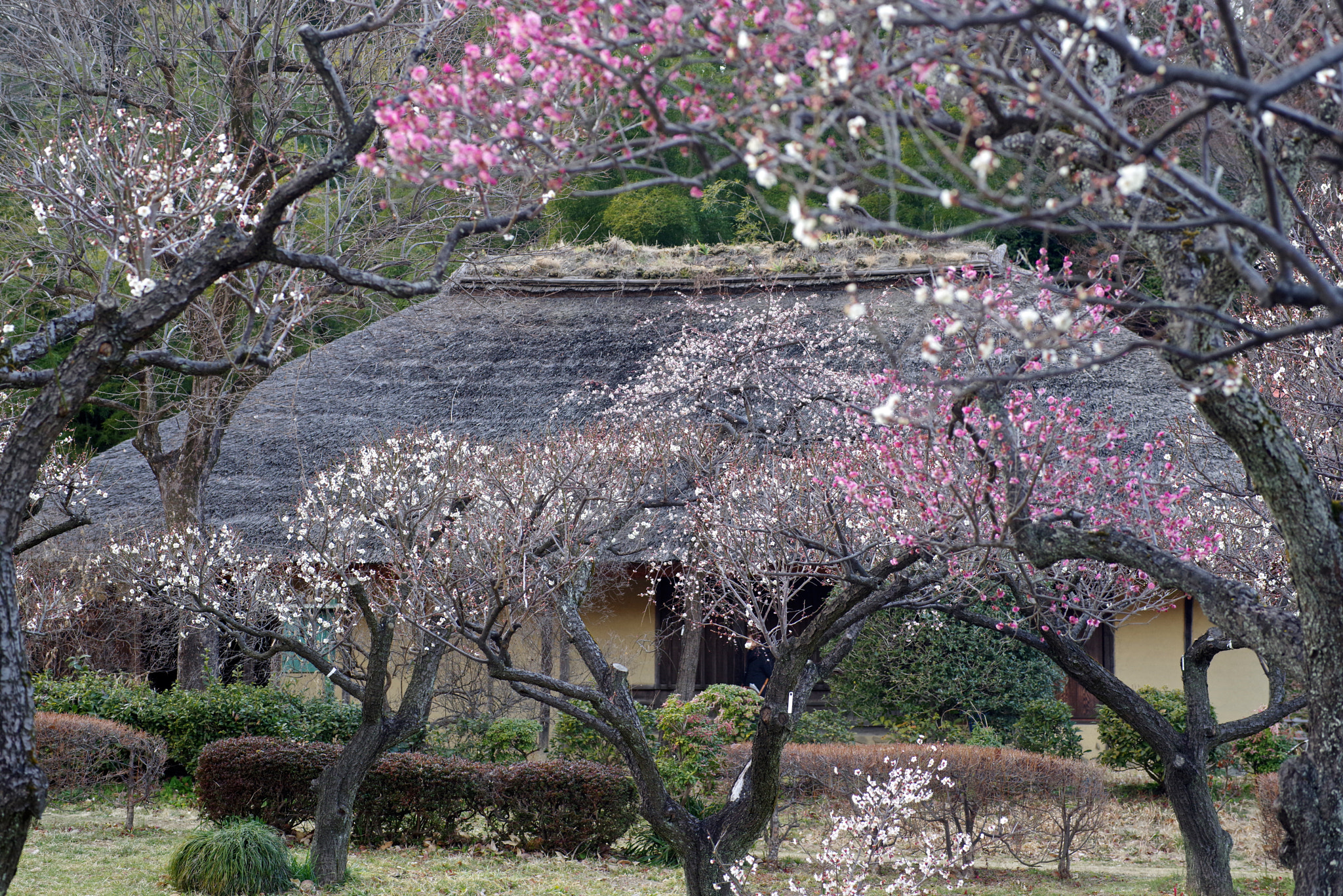 Pentax K-1 + Sigma sample photo. Old house photography