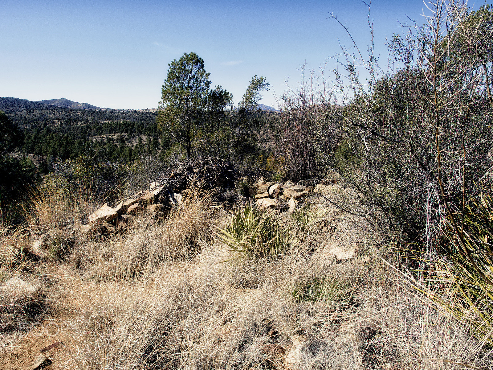 Olympus OM-D E-M5 sample photo. Lynx creek ruin, an ancient pueblo photography