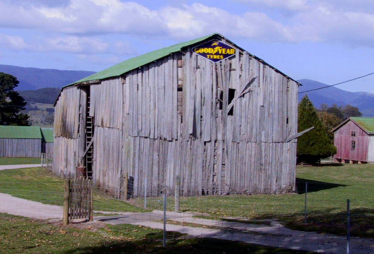 Canon POWERSHOT S20 sample photo. Good year tyres - tasmania australia photography