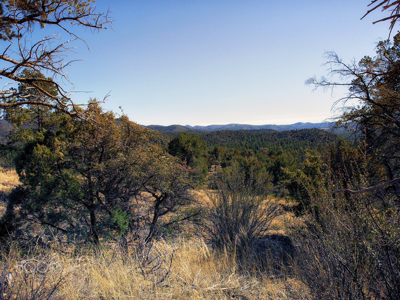 Olympus OM-D E-M5 sample photo. Lynx creek ruin trail view photography